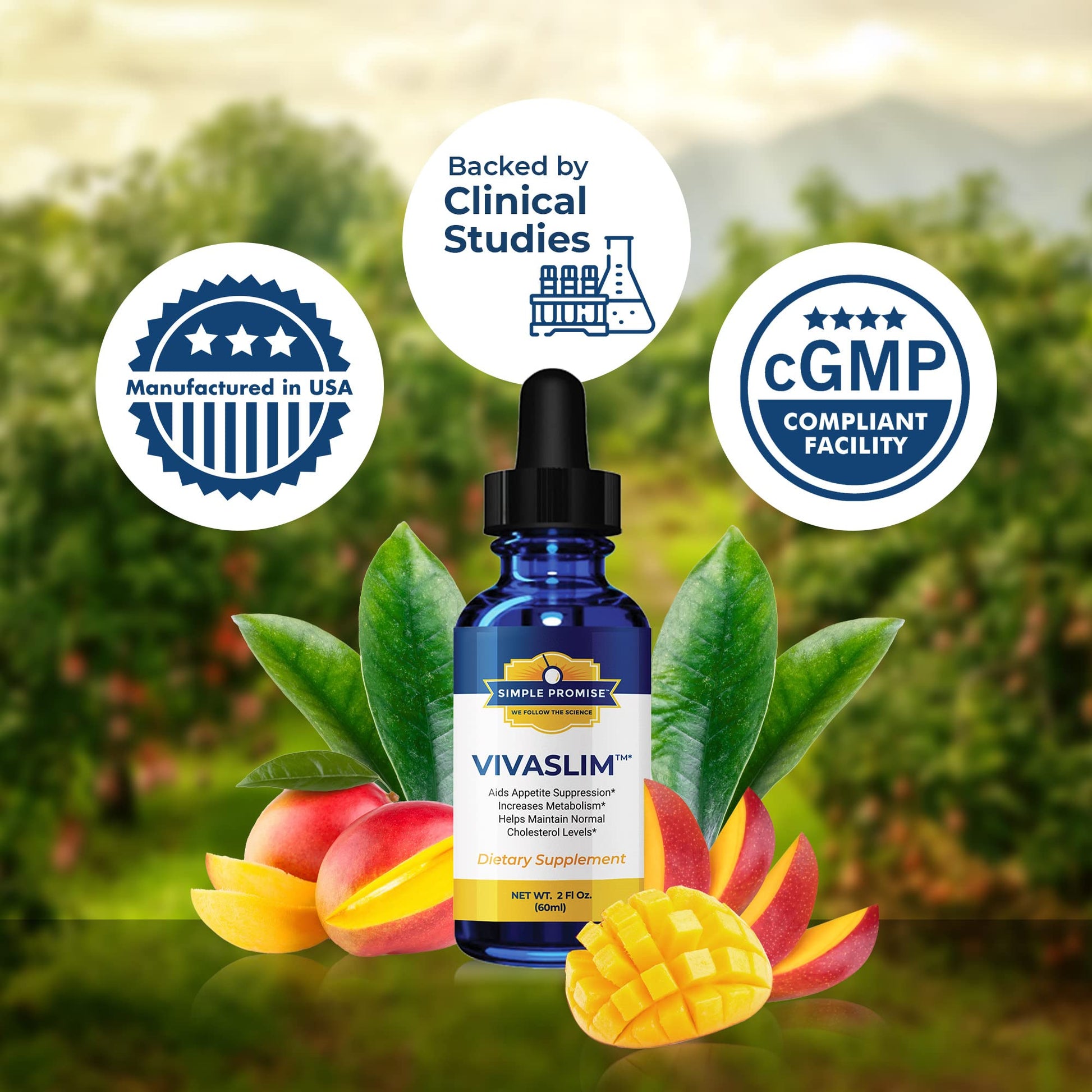 Simple Promise - VivaSlim - Natural Liquid Drops with African Mango, 2 fl oz Simple Promise uk supplements