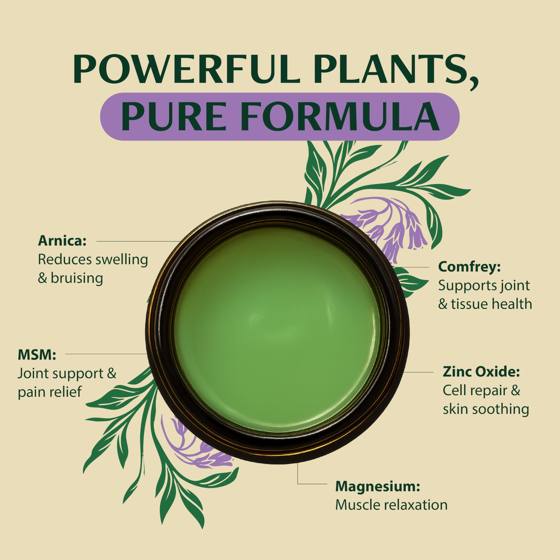 Wild Healing Comfrey Salve – Concentrated Herbal Balm with Arnica, Magnesium & MSM – Soothing Botanical Cream for Joints, Muscles & Dry Skin – 4.23 oz Wild Healing uk supplements