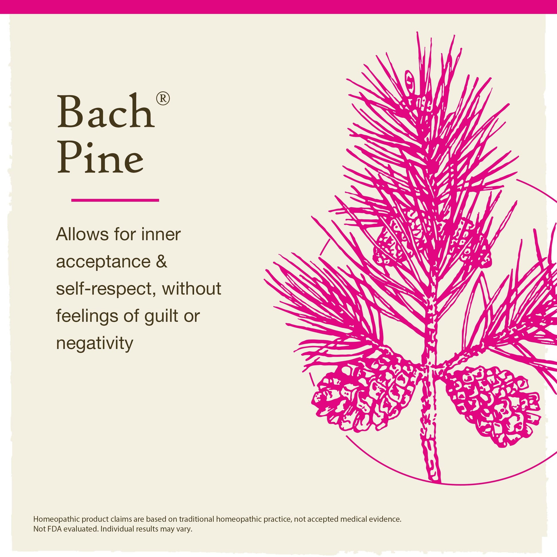 Bach Original Flower Remedies, Pine for Self Respect, Natural Homeopathic Flower Essence Bach uk supplements