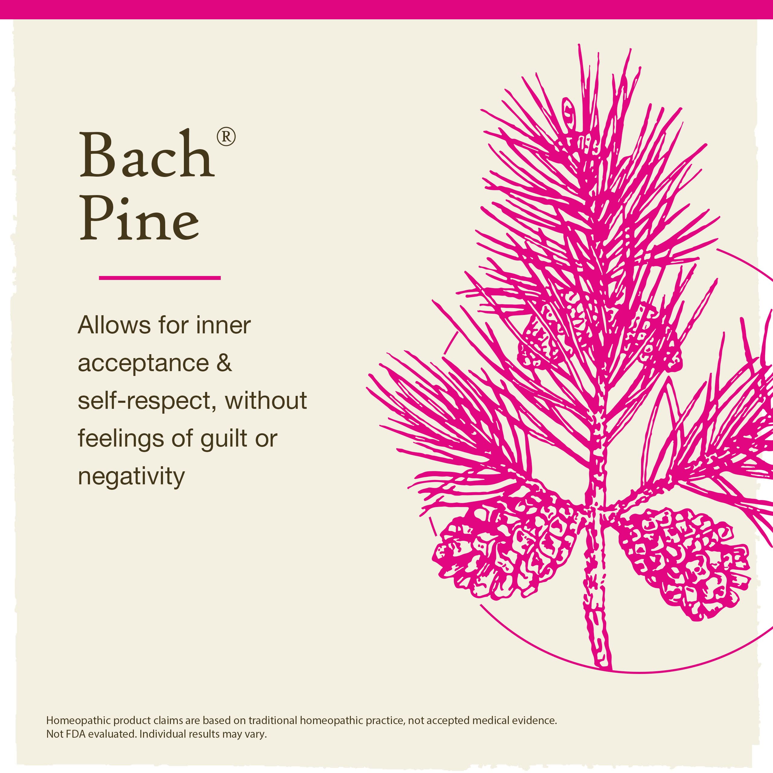 Bach Original Flower Remedies, Pine for Self Respect, Natural Homeopathic Flower Essence Bach uk supplements