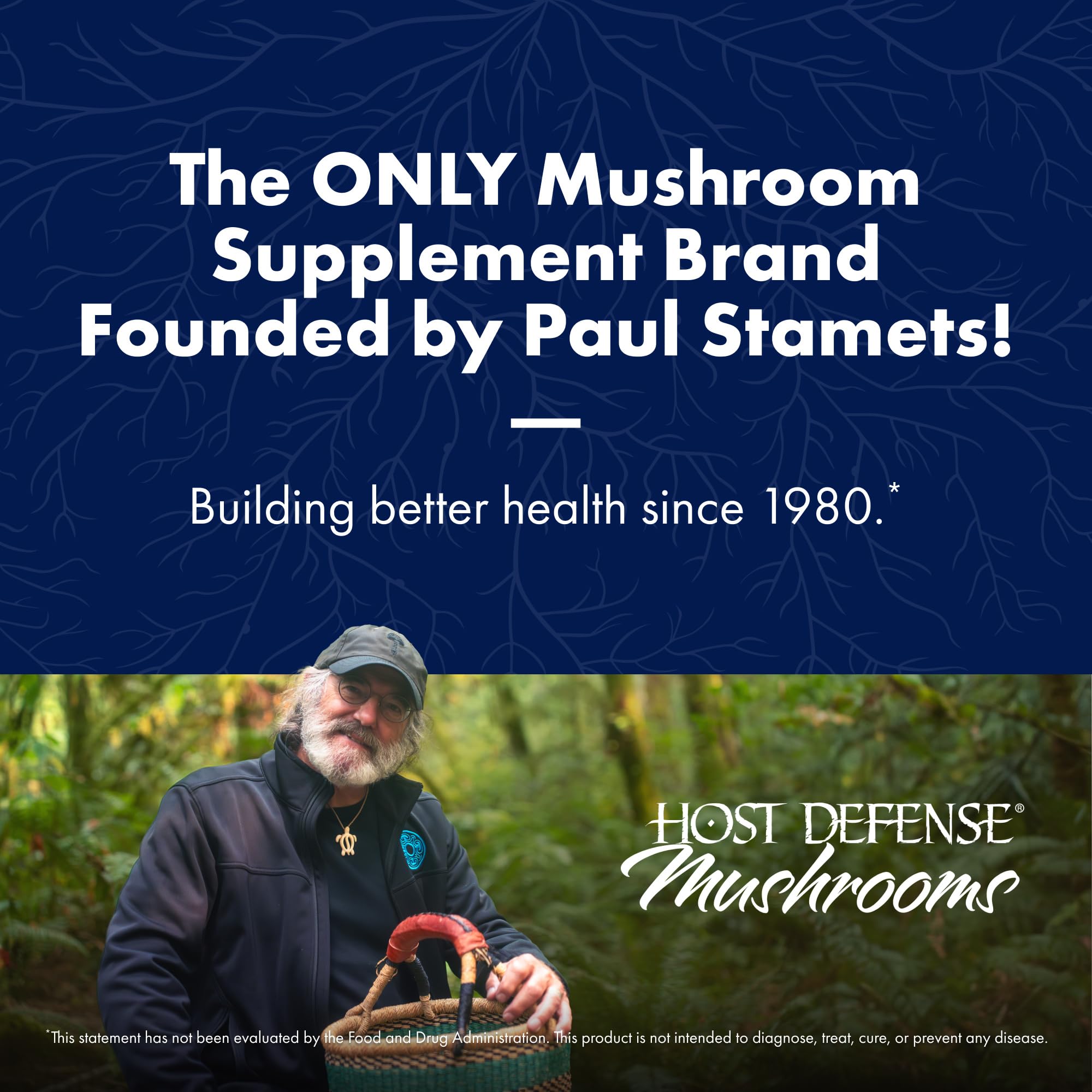 Host Defense Mushrooms Lion's Mane - Brain Health Support Supplement for Focus & Memory Function - Immune & Nervous System Support Supplement- 30 Capsules Host Defense uk supplements