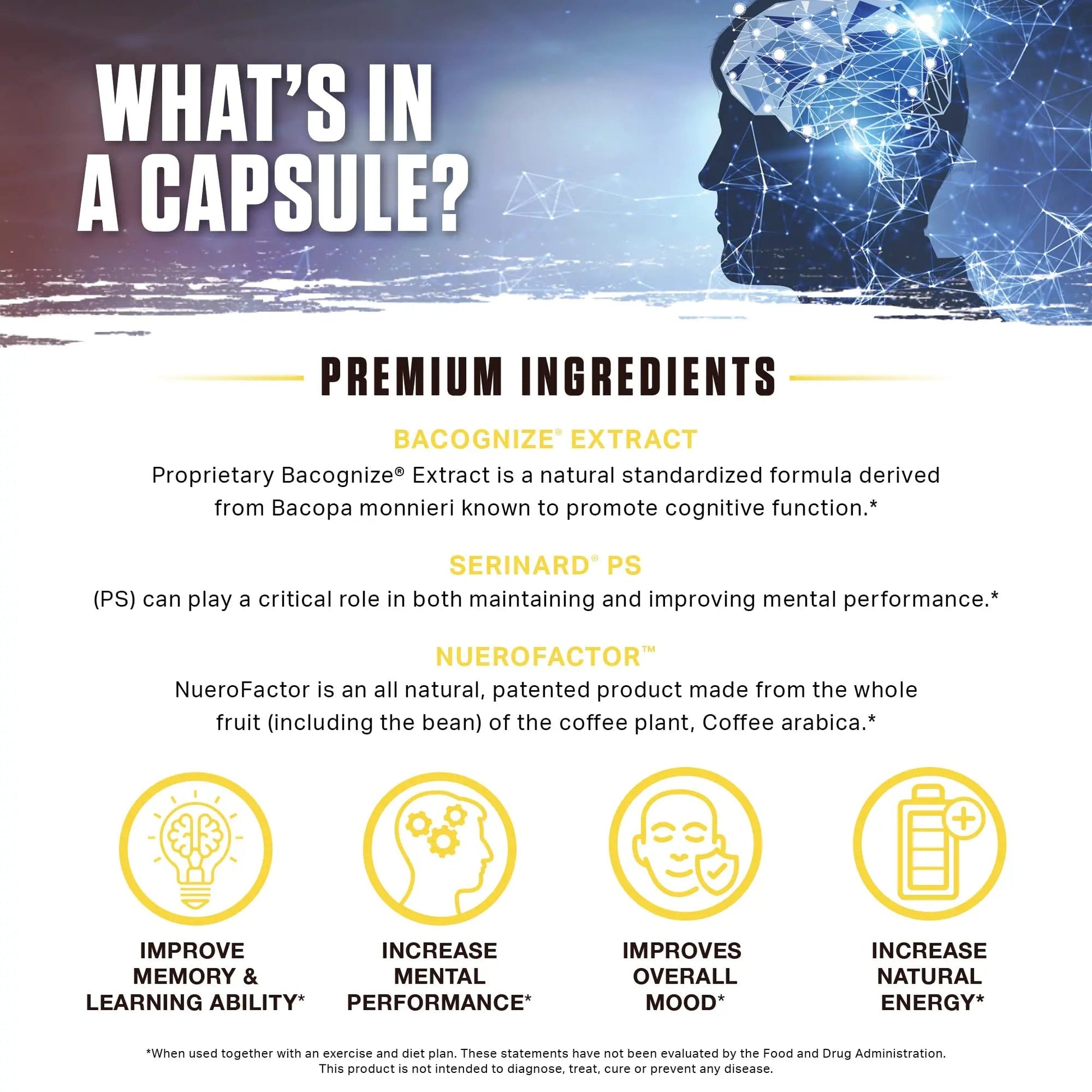Ambrosia Mental Jewels (Capsules) - Cognitive Enhancer | Increase Memory, Communication Skills, Concentration & Focus | Alpha GPC, Choline, BaCognize Ambrosia uk supplements