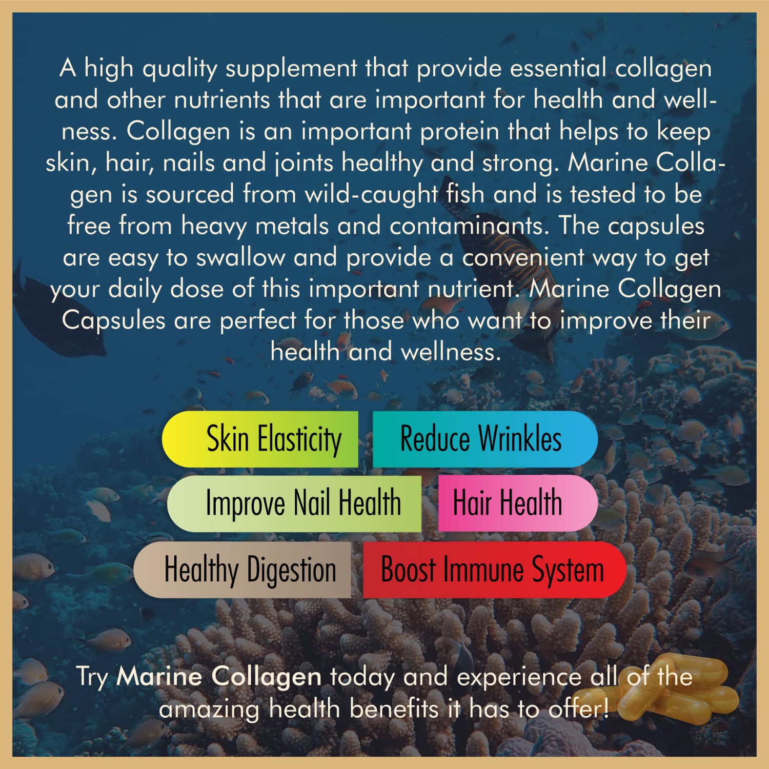 Vitalytes Marine Collagen Supplement 2400mg | 120 Marine Collagen Capsules Made in The UK Vitalytes uk supplements