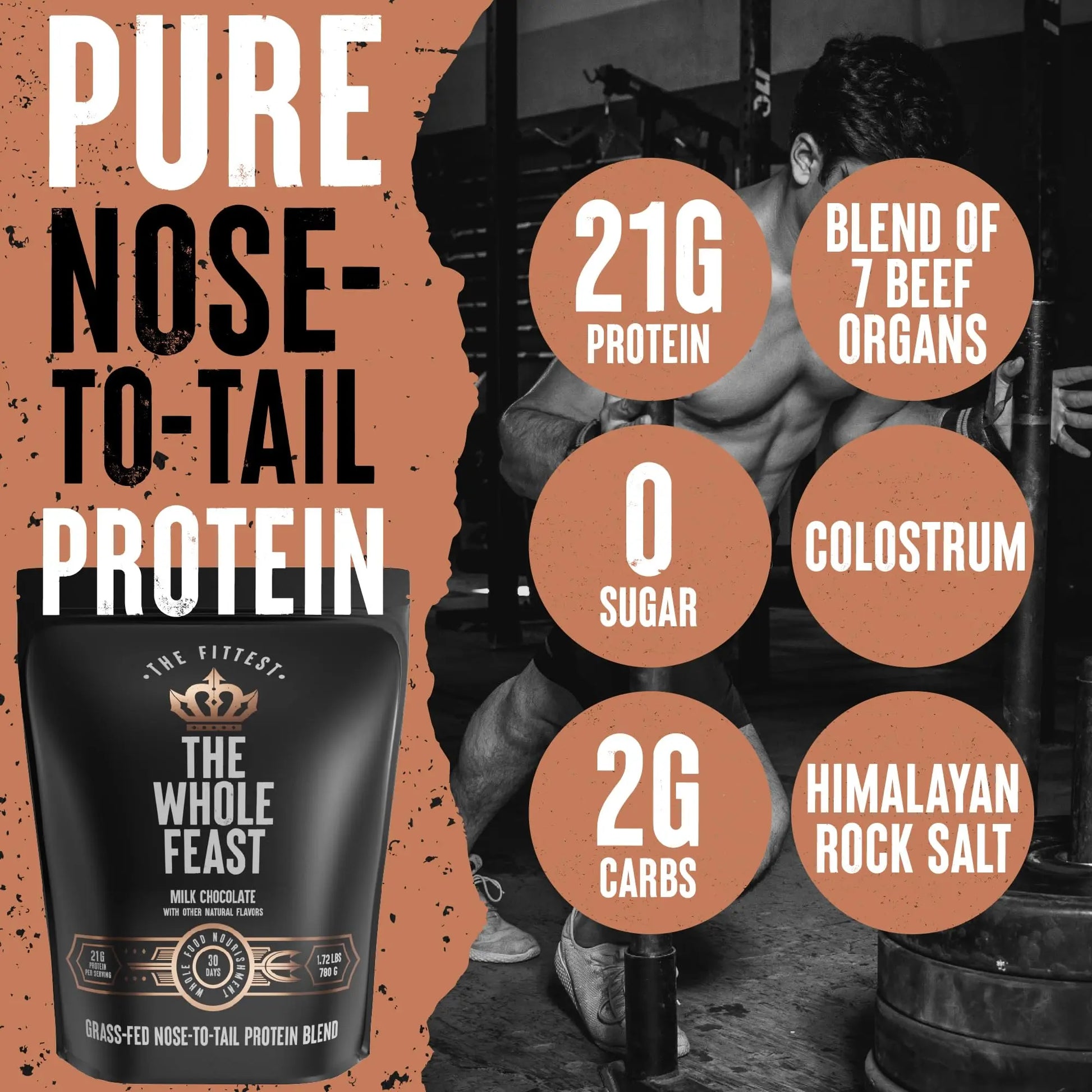 The Fittest Whole Feast Beef Protein Powder - Milk Chocolate - Grass Fed Nose to Tail Carnivore Blend Including Liver, Colostrum and Whole Bone - BCAAs - 14g Collagen, 21g Total Protein The Fittest Ever uk supplements