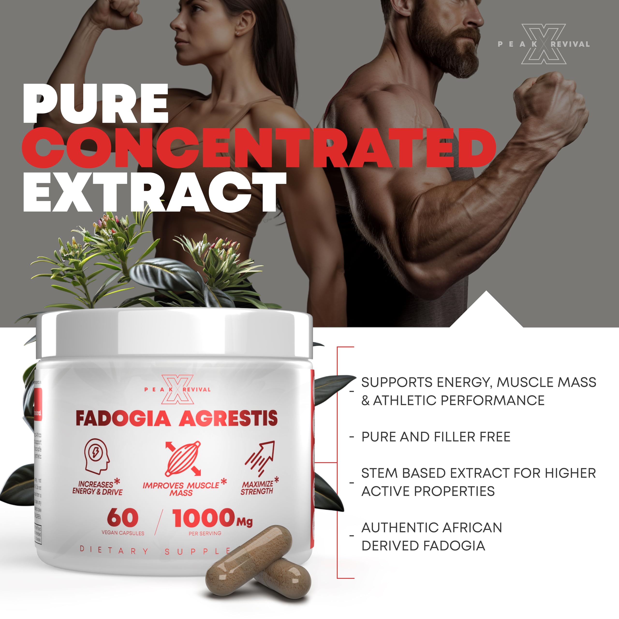 Peak Revival-X Fadogia Agrestis 1000mg Per Serving Supplement - Potent Extract to Increase Energy, Athletic Performance & Muscle Mass - Supplements, Made in The USA (60 Capsules) Peak Revival-X uk supplements