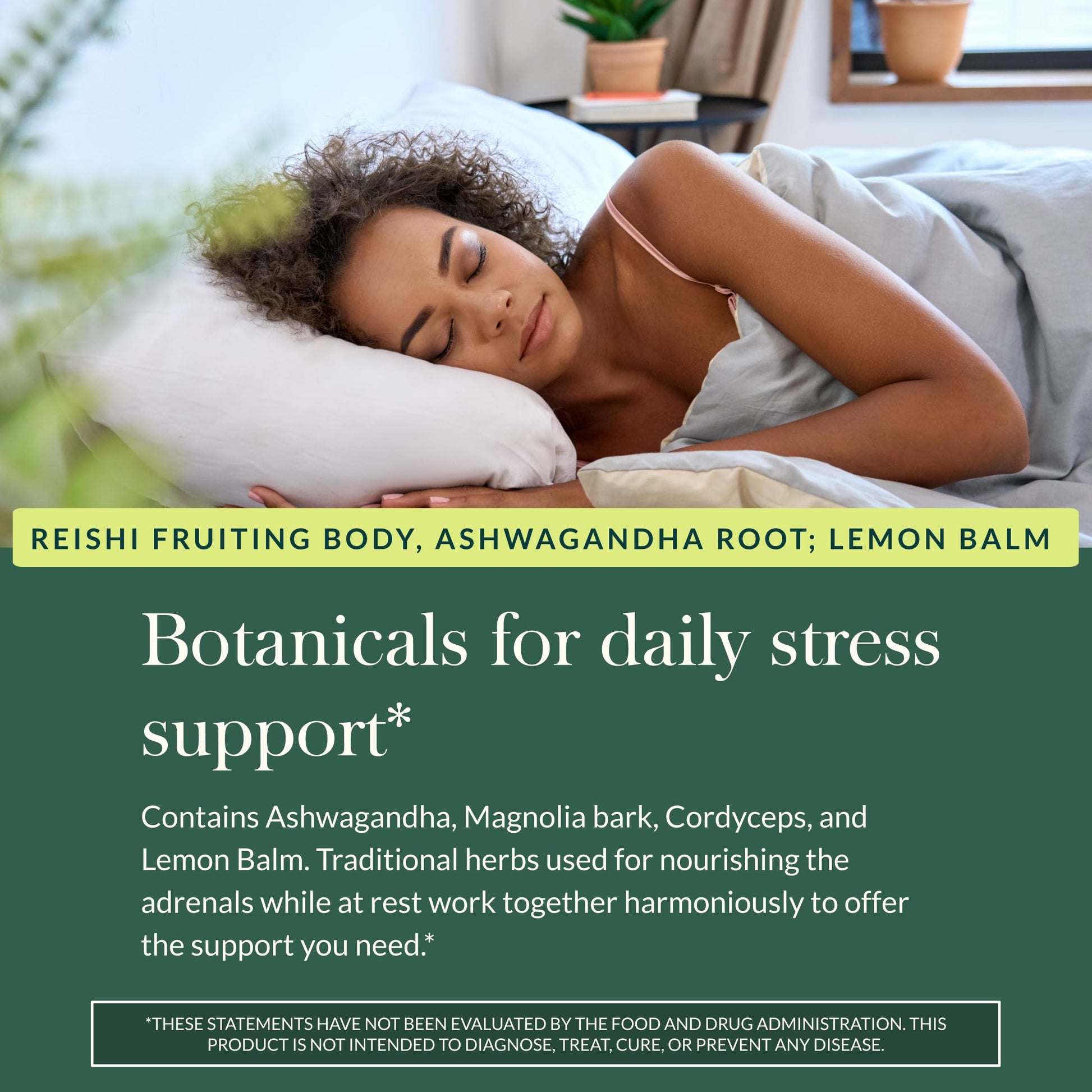 Gaia Herbs Adrenal Health Nightly Restore - Herbal Supplement with Ashwagandha, Magnolia Bark, Cordyceps, Lemon Balm & More* - 60 Vegan Liquid Phyto-Caps (30 Servings) Gaia Herbs uk supplements