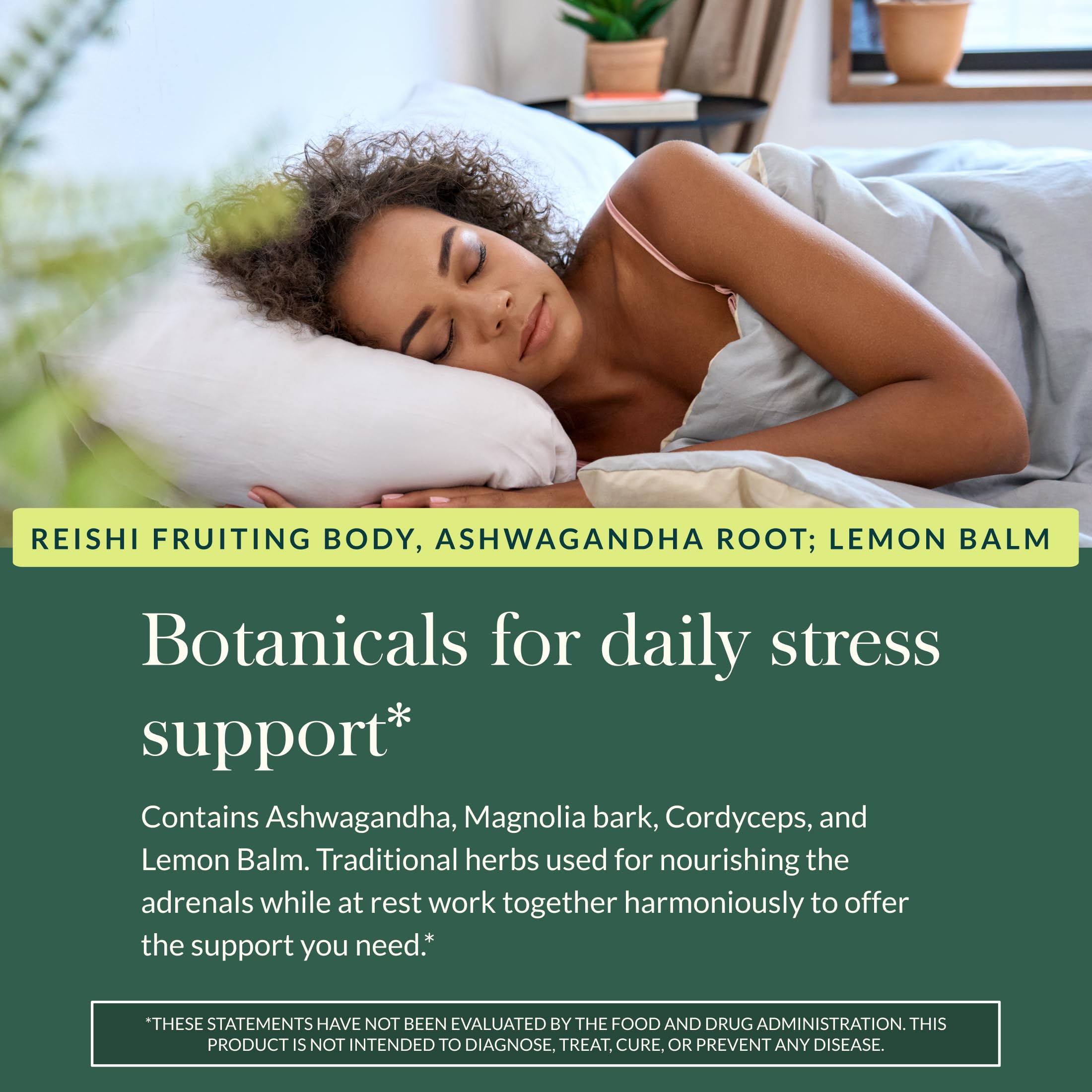 Gaia Herbs Adrenal Health Nightly Restore - Herbal Supplement with Ashwagandha, Magnolia Bark, Cordyceps, Lemon Balm & More* - 60 Vegan Liquid Phyto-Caps (30 Servings) Gaia Herbs uk supplements