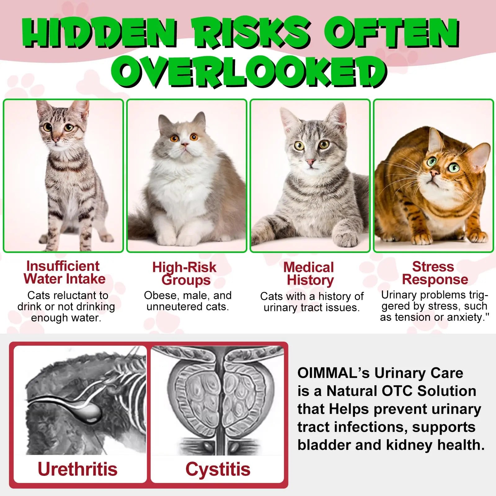 Cat Urinary Tract Infection Treatment, Cat UTI Treatment Drops Supports Bladder, Kidney Stone, Cranberry Kidney Bladder Support Supplement, Chicken Flavor, 60ml BTQAFVZT uk supplements