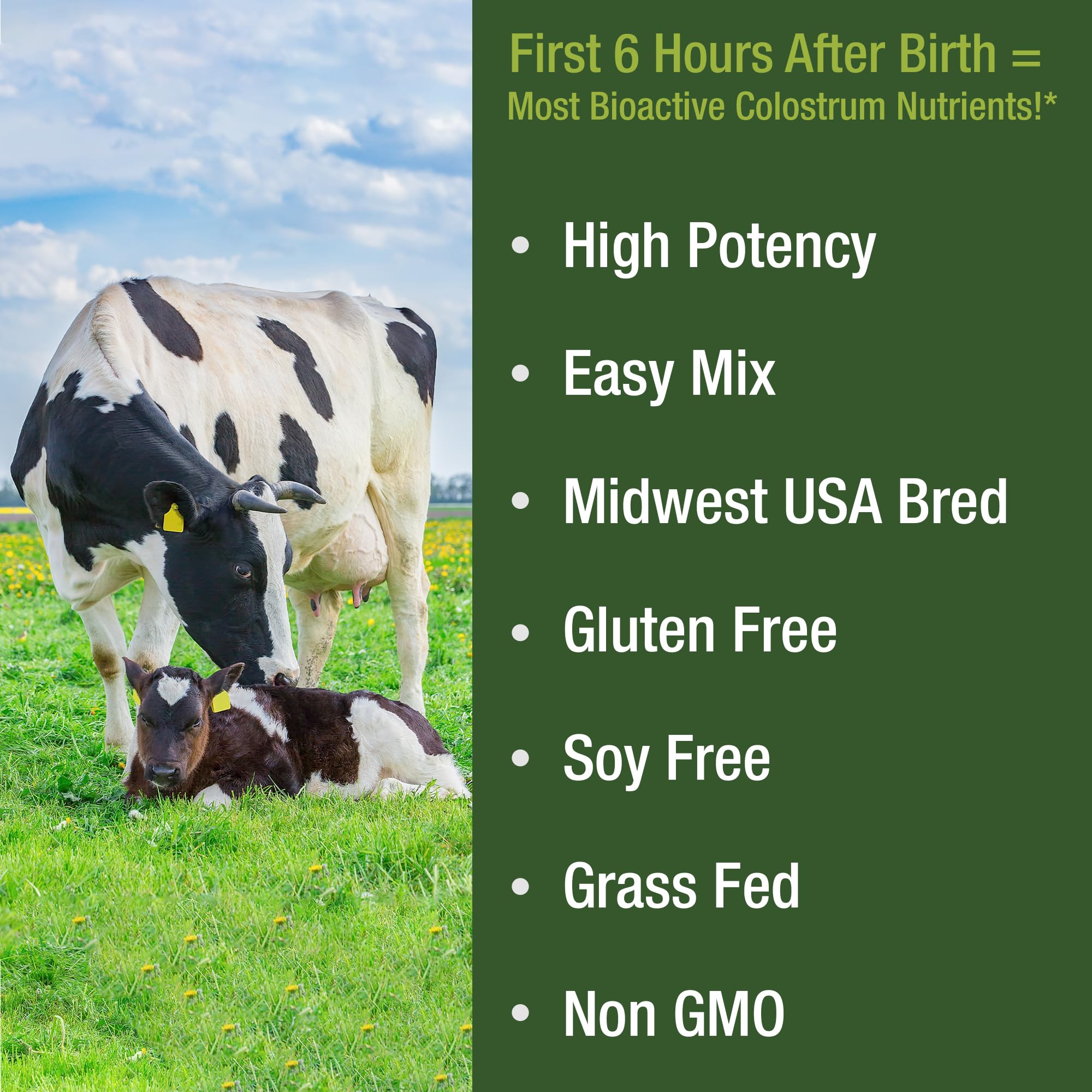 First Milking Colostrum Powder from Grass Fed USA Cows Milked Within 6 Hours of Giving Birth to Get the Most Bioactive Nutrients. High Immunoglobulin Non-GMO Bovine Colostrum Supplement for Humans Peak Performance uk supplements