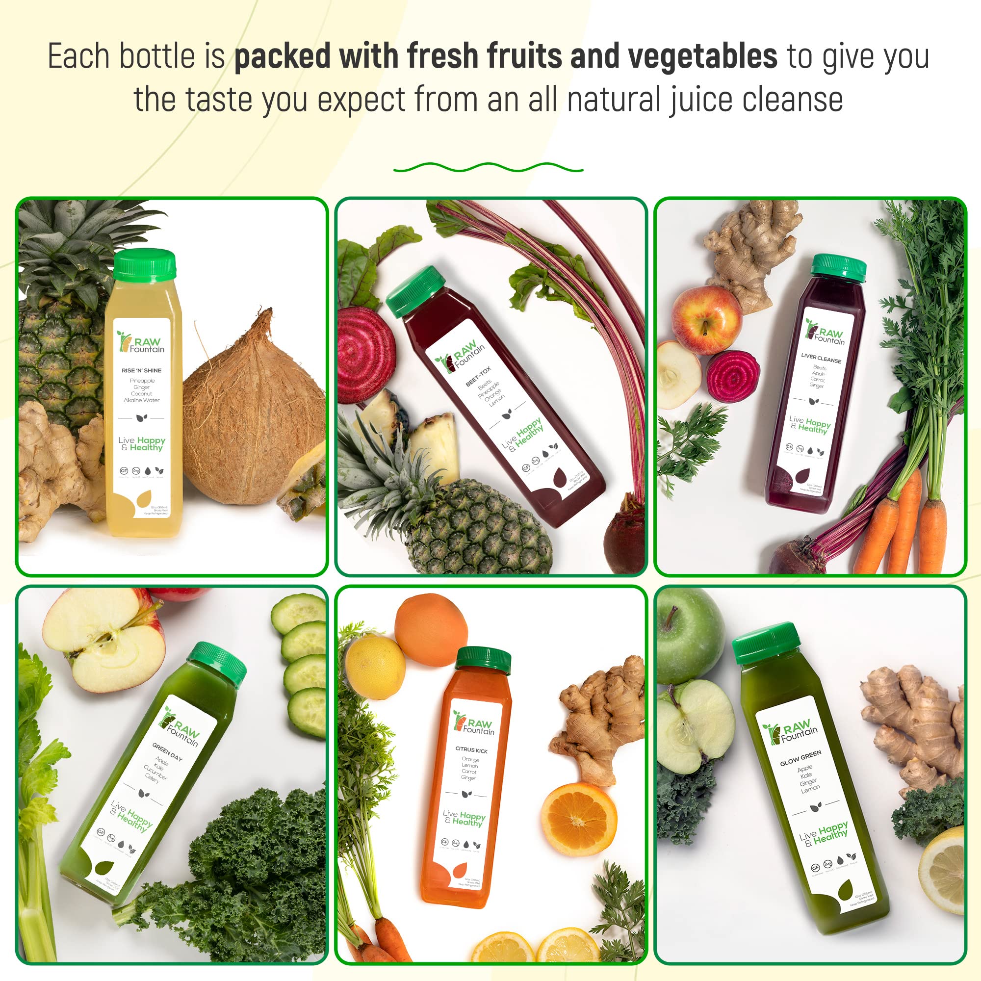 Raw Fountain 1 Day Juice Cleanse, All Natural Detox Cleanse, Cold Presssed Fruit Raw Fountain uk supplements
