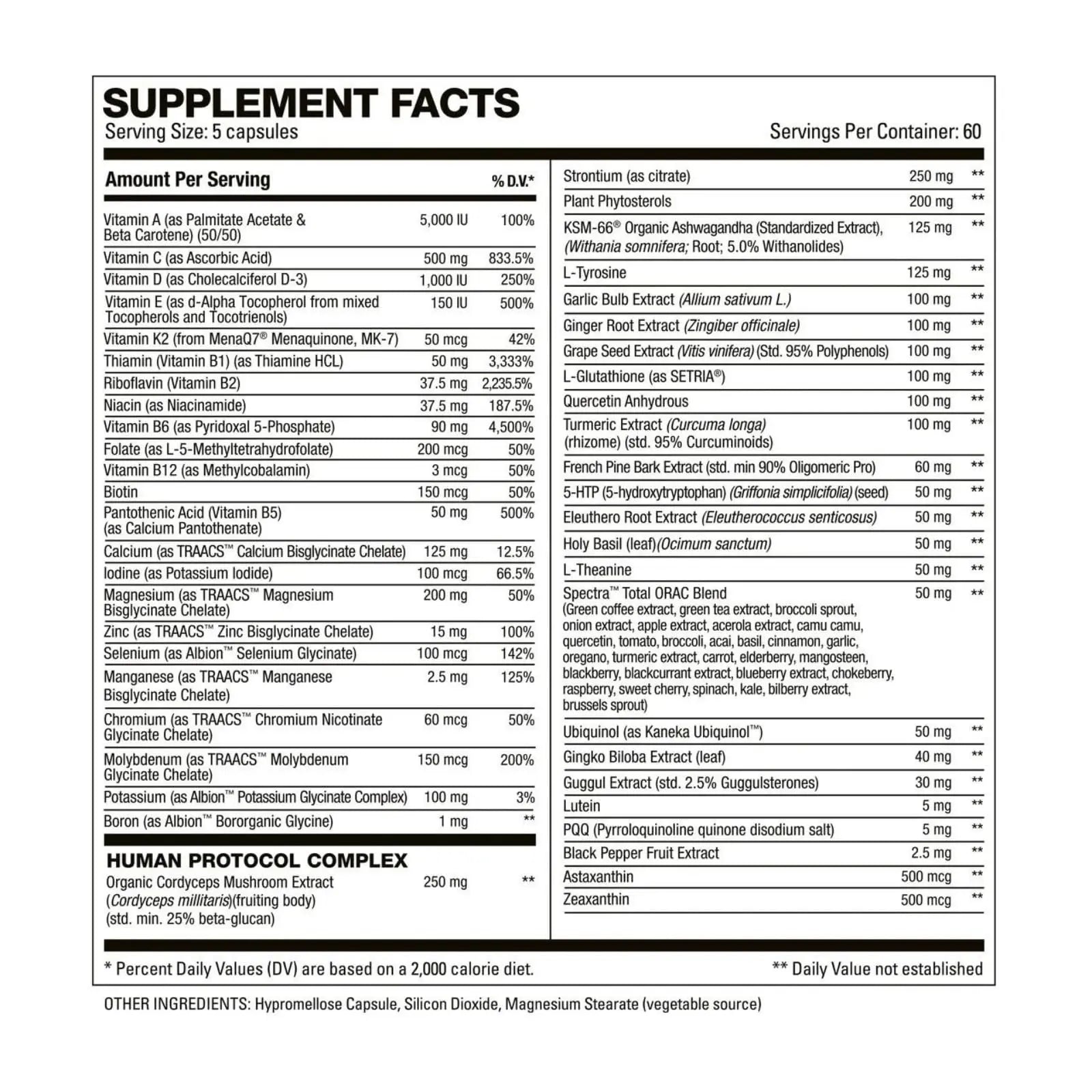 HD MUSCLE VitaHD Essential Multivitamin | Athlete-Specific Vitamins, Minerals, & Nutrients | Organic Mushroom Blend HD MUSCLE uk supplements