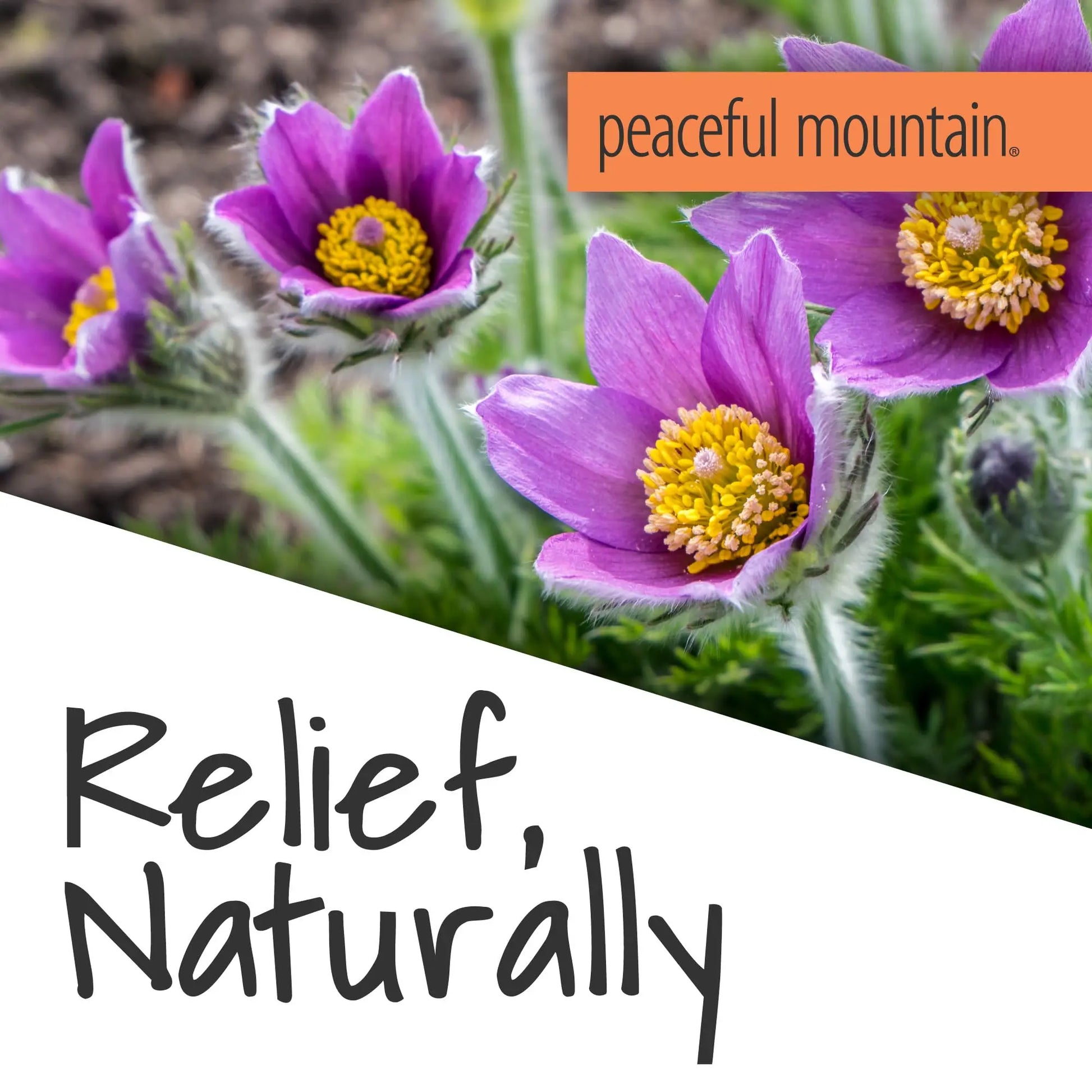 Peaceful Mountain Muscle Rescue Homeopathic Gel - for Muscle discomfort with Arnica and Comfrey - 2oz Peaceful Mountain uk supplements