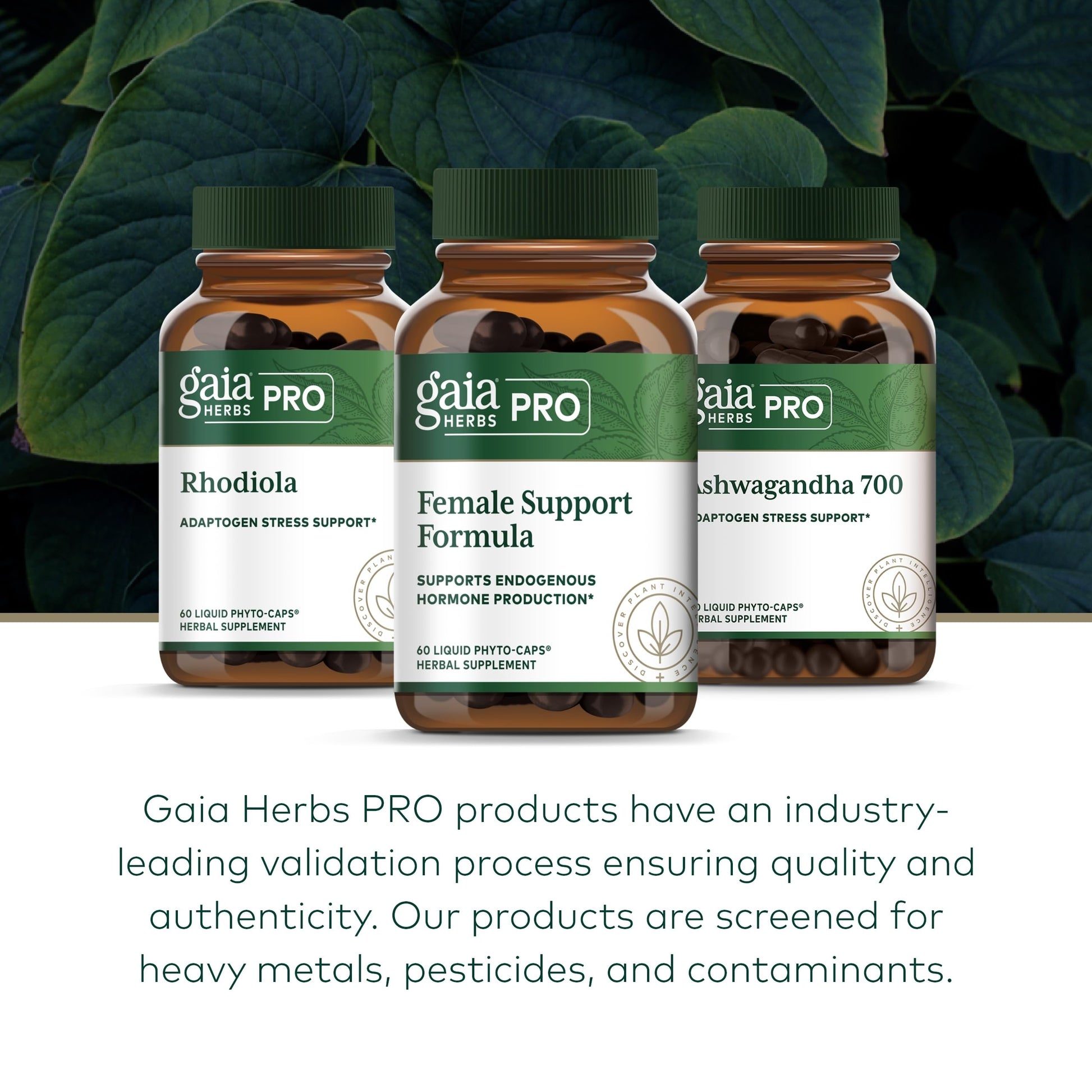 GAIA HERBS PRO Female Support Formula - Supports Healthy PMS & Menopause Fluctuations with Alfalfa Leaf, Black Cohosh Root Extract, Dandelion Root & More* - Vegan - 60 Liquid Phyto-Caps (60 Servings) Gaia Herbs PRO uk supplements