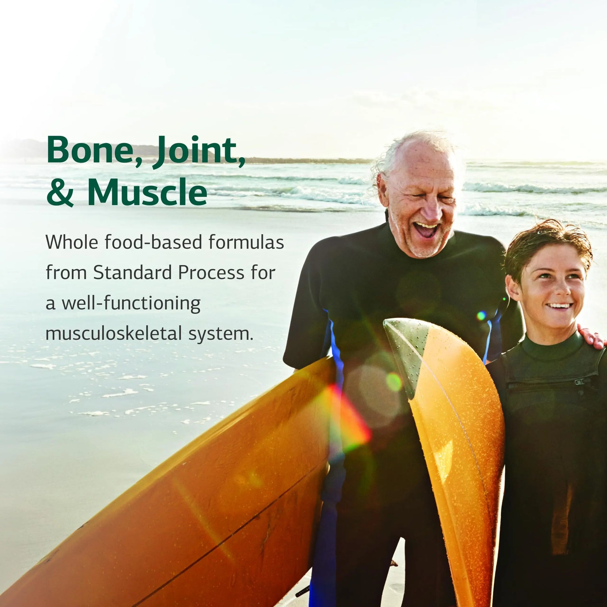 Standard Process Nutrimere - Supports Joint Health - Joint Supplement with Perna Canaliculus & New Zealand Green Mussel - Gluten-Free, Non-Soy & Non-Dairy - 90 Capsules Standard Process Inc. uk supplements