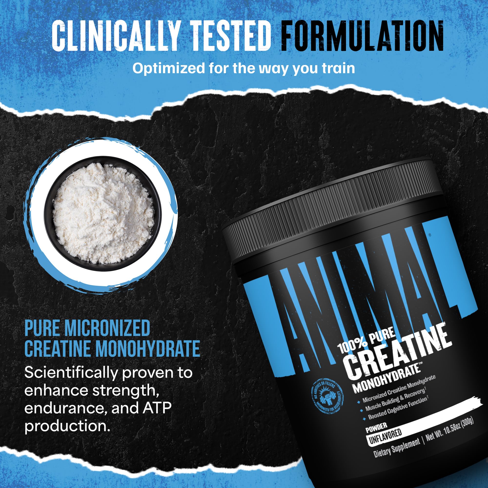 Animal Creatine Monohydrate Powder – Micronized Creatine for Women and Men, Supports Muscle Growth, Strength, Endurance, Recovery and ATP Production, Gym & Workout Supplements - Unflavored, 300g Animal uk supplements