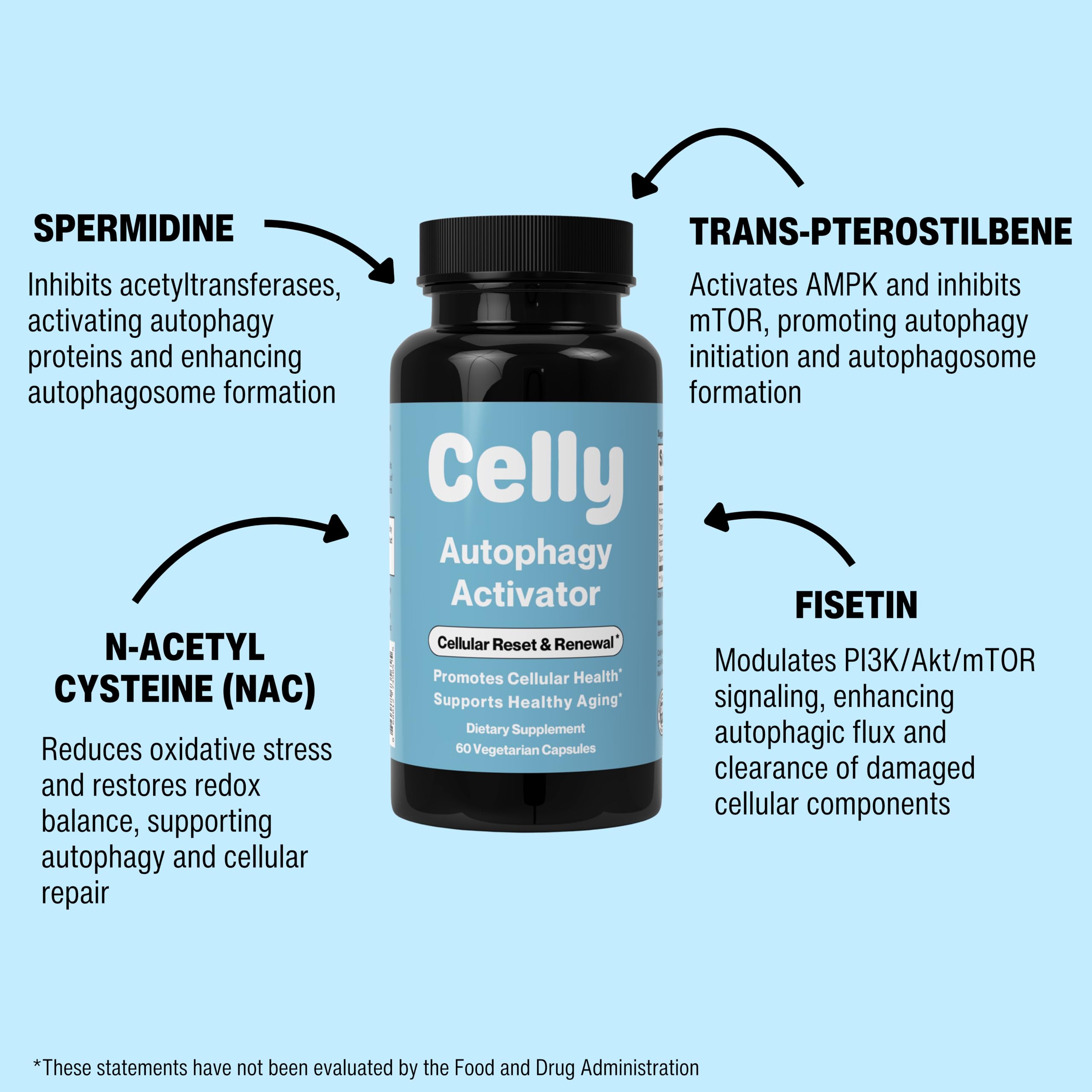 Celly Autophagy Activator | Longevity Supplement for Cellular Nutrition and Healthy Aging | Promotes Cell Renewal with Spermidine, Pterostilbene, Fisetin, and NAC | Made in USA & 3rd Party Tested Celly uk supplements