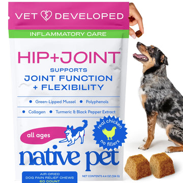 Native Pet Inflammatory Care - Pain Relief for Dogs - Green-Lipped Mussel, Turmeric & Collagen for Dogs - Hip and Joint Supplement Supports Healthy Inflammatory Response & Joint Comfort - 60 Chews Native Pet uk supplements