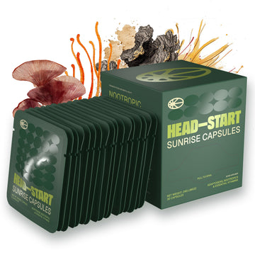 HEAD-START Sunrise Capsules | Nootropic Brain Supplement with Lion’s Mane, L-Theanine & Saffron | Adaptogen Blend for Focus, Energy, Clarity & Daily Performance HEAD-START uk supplements