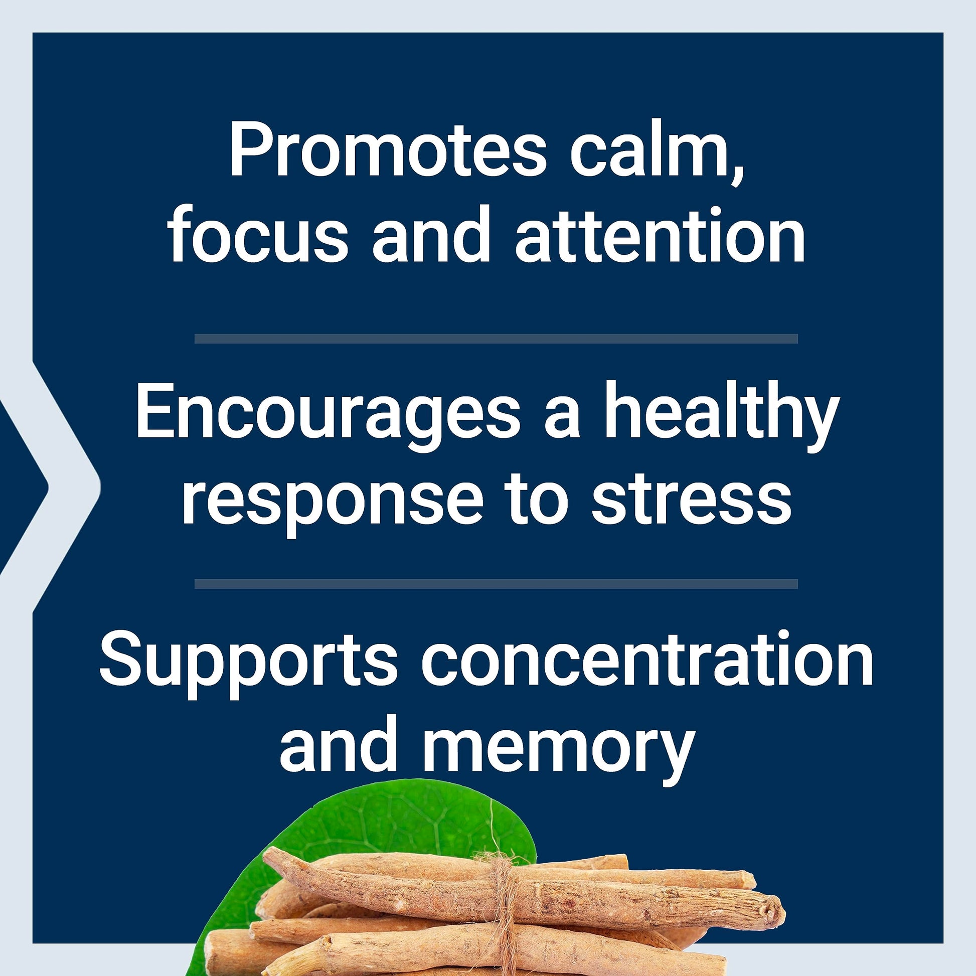 Life Extension Ashwagandha Plus Calm & Focus, ashwagandha Extract, Spearmint Extract, Focus, Attention, Relaxation, Advanced Formula, 60 Vegetarian Capsules Life Extension uk supplements