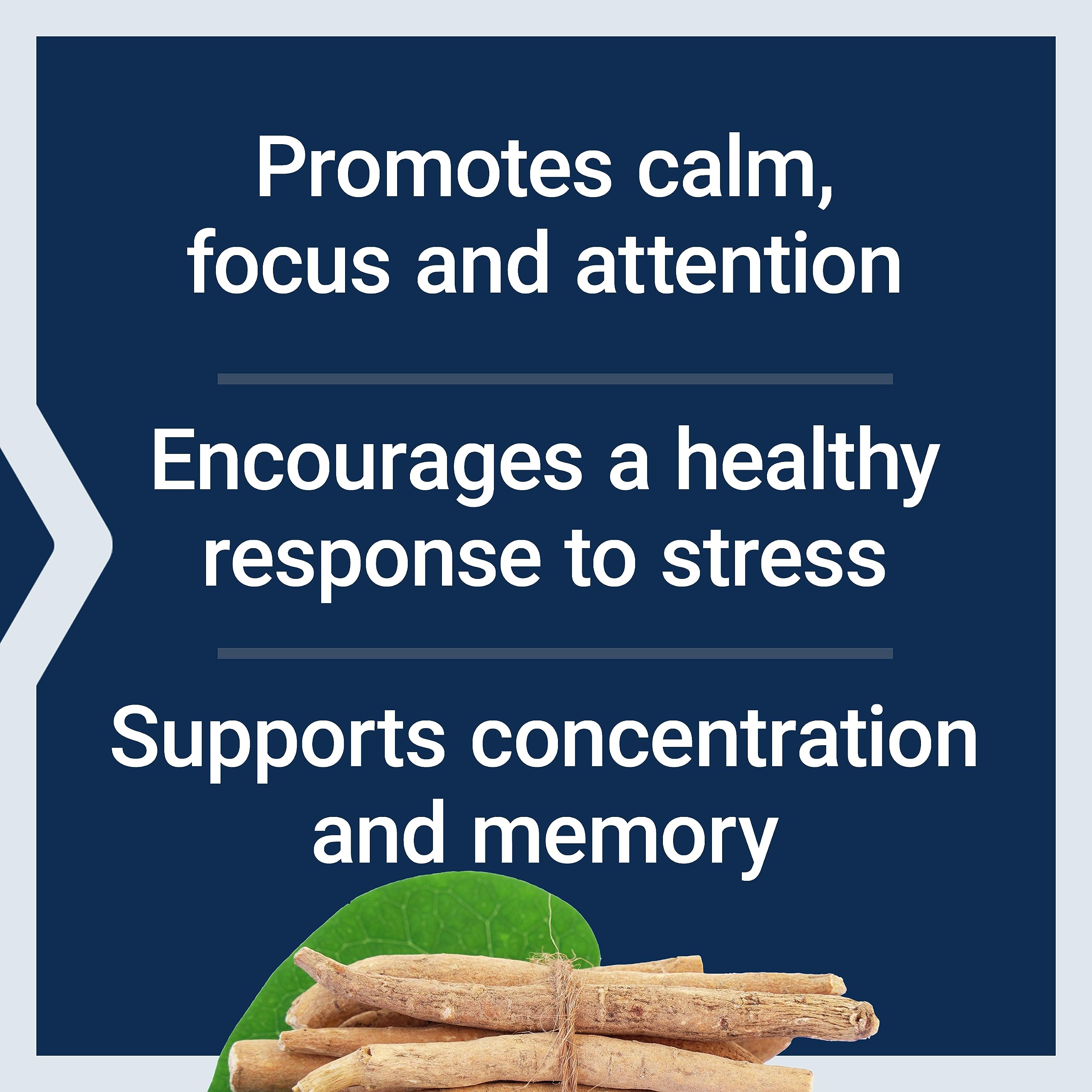 Life Extension Ashwagandha Plus Calm & Focus, ashwagandha Extract, Spearmint Extract, Focus, Attention, Relaxation, Advanced Formula, 60 Vegetarian Capsules Life Extension uk supplements