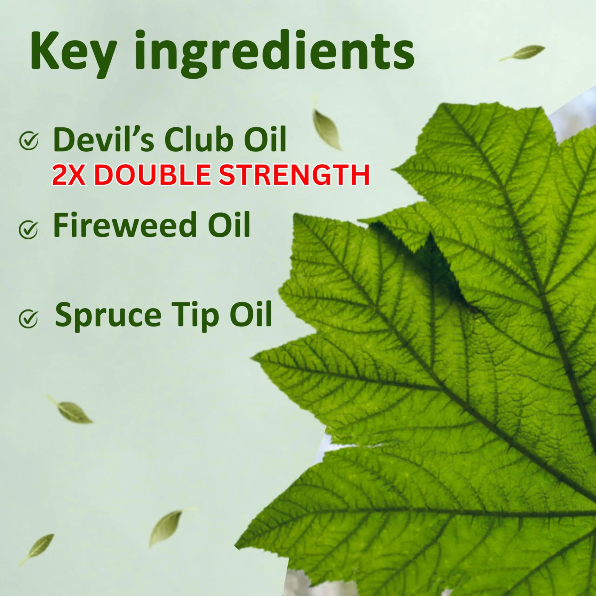 Snowy Summit Alaska Rainforest 2X Salve Stick - Salve for Dry Skin & Joint Relief - Natural Salve for Soothing Skin with Gentle Aroma - Body & Hand Salve - Muscle Rub Alaskan Devil’s Club Oil Snowy Summit uk supplements
