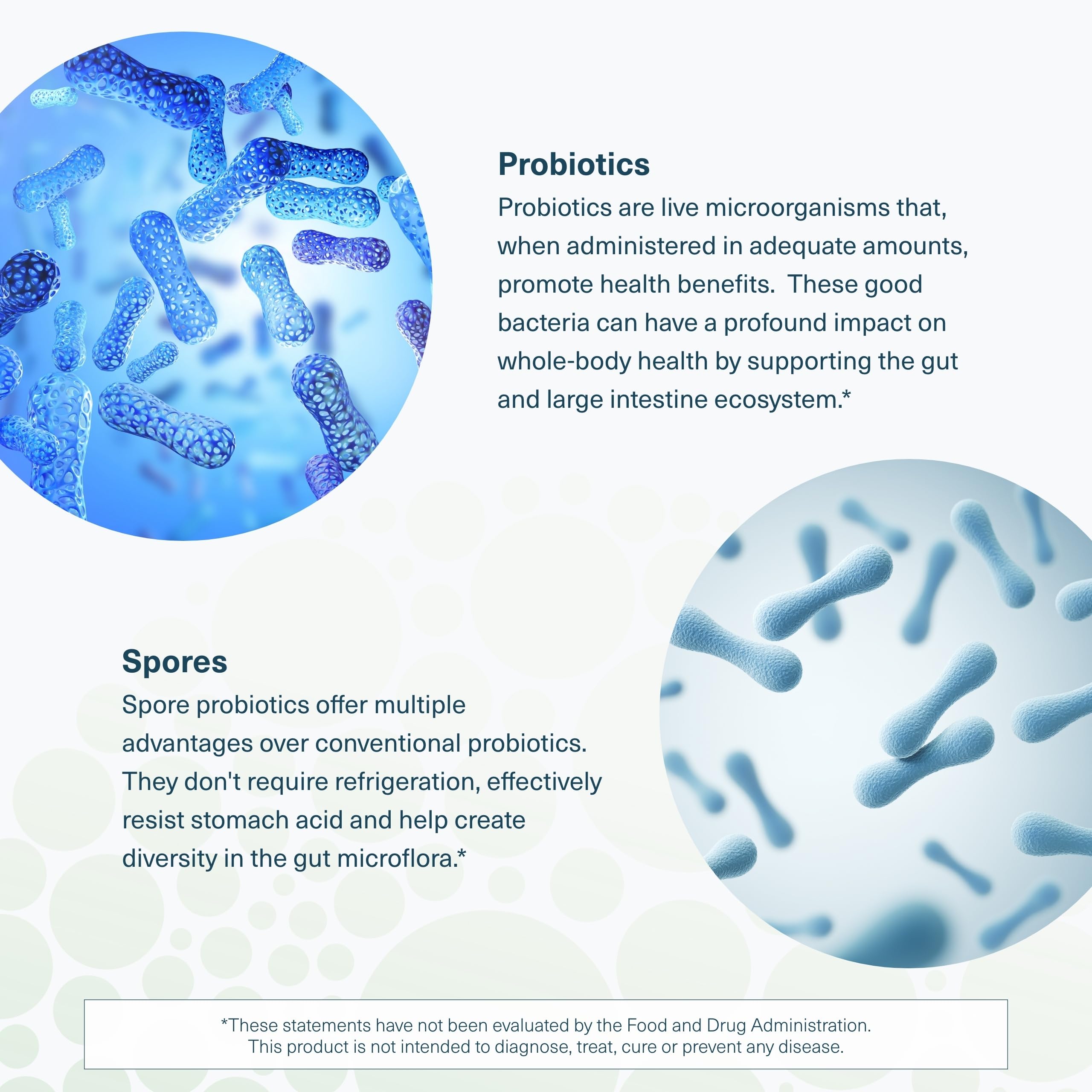 Youtheory Spore Probiotic - Helps Gut Health* - 6 Billion CFU with Prebiotics - Supports Regular Bowel Movement & Diarrhea Relief* - Shelf Stable - 60 Vegetarian Capsules (30-Day Supply) Youtheory uk supplements
