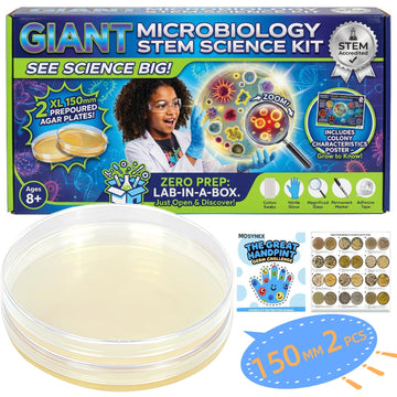 Giant Microbiology Bacteria Science Kit for Kids:2 XL 150mm Prepoured Nutrient Agar Plates, Petri Dishes with Agar & Colony Characteristics Poster for School Projects & Educational Gifts Mosynex uk supplements