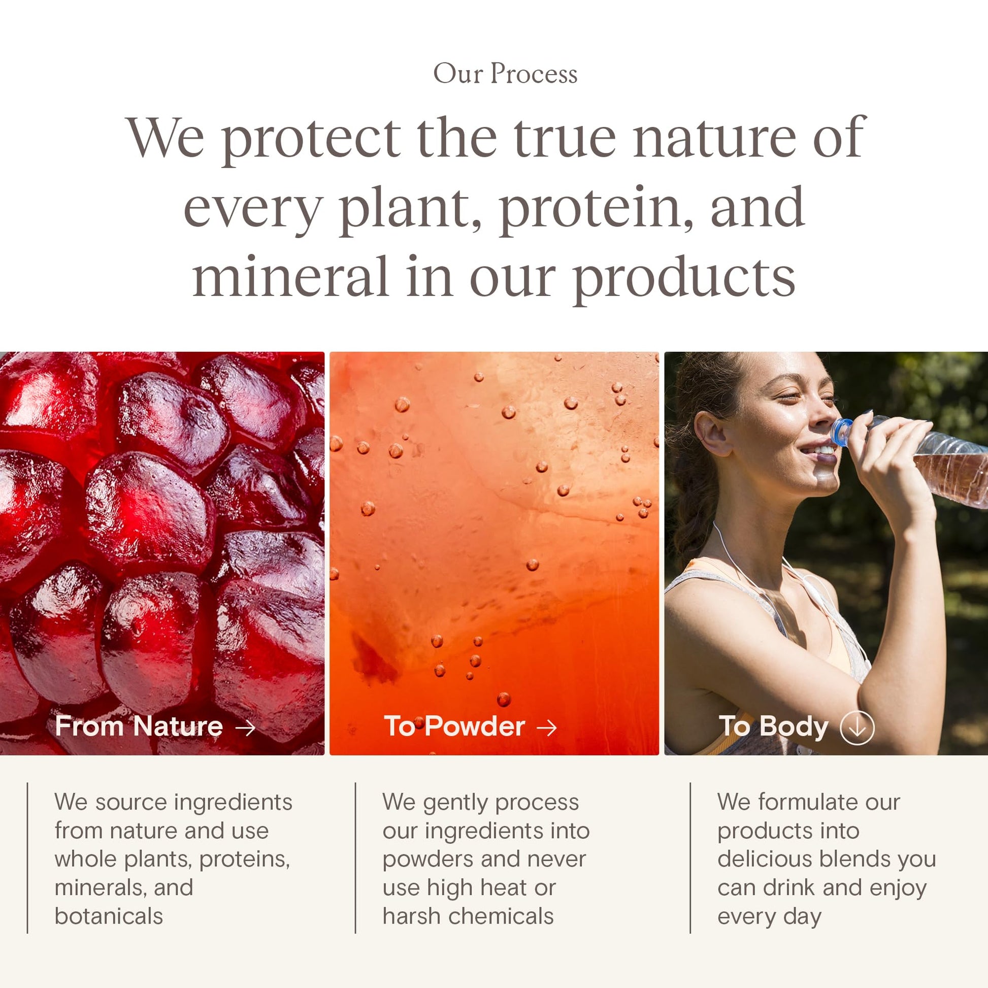 Yoli® Truth Antioxidant and Immune Support Supplement with Vitamin C, Botanicals, Superfruits, and Minerals - Pomegranate, 30 Packets Yoli uk supplements