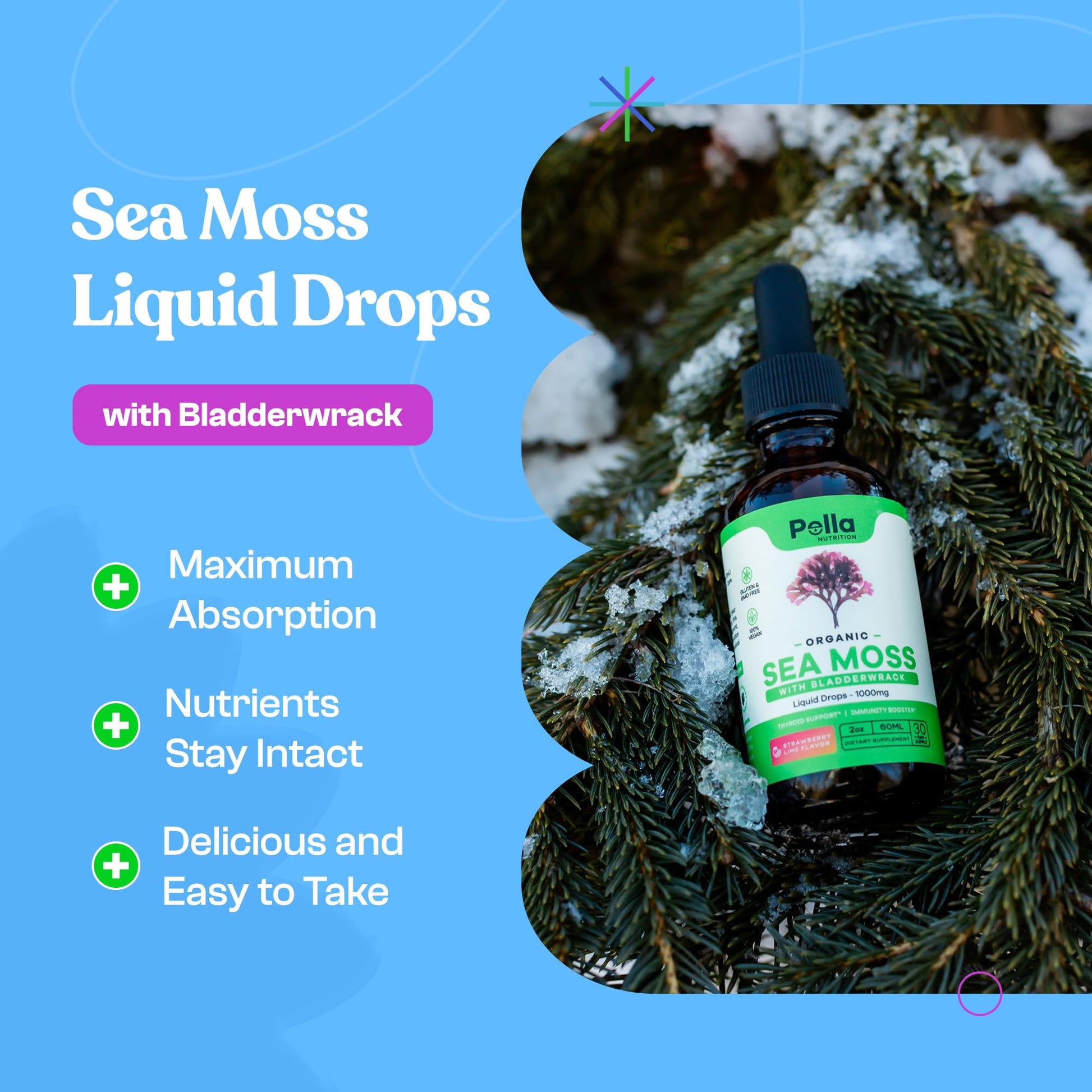 Organic Sea Moss Drops - 1000mg Irish Sea Moss - 4X Stronger than Sea Moss Gel Pella Nutrition uk supplements