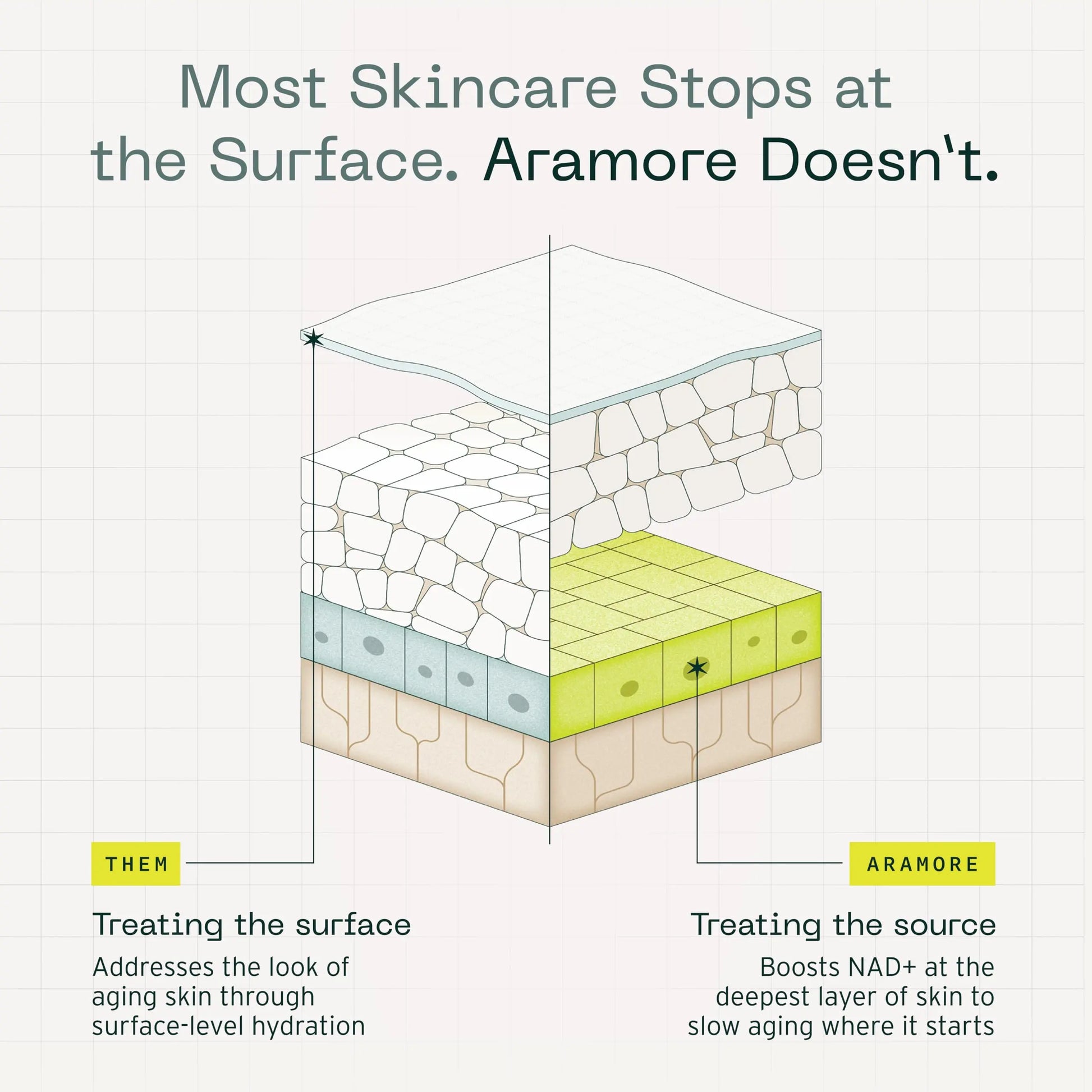 Aramore NAD+ Cell Energizing Skin Care Treatment with Proprietary NAD+ Precursor Complex, Clinically Proven to Target 12 Signs of Aging - 15ml Aramore uk supplements
