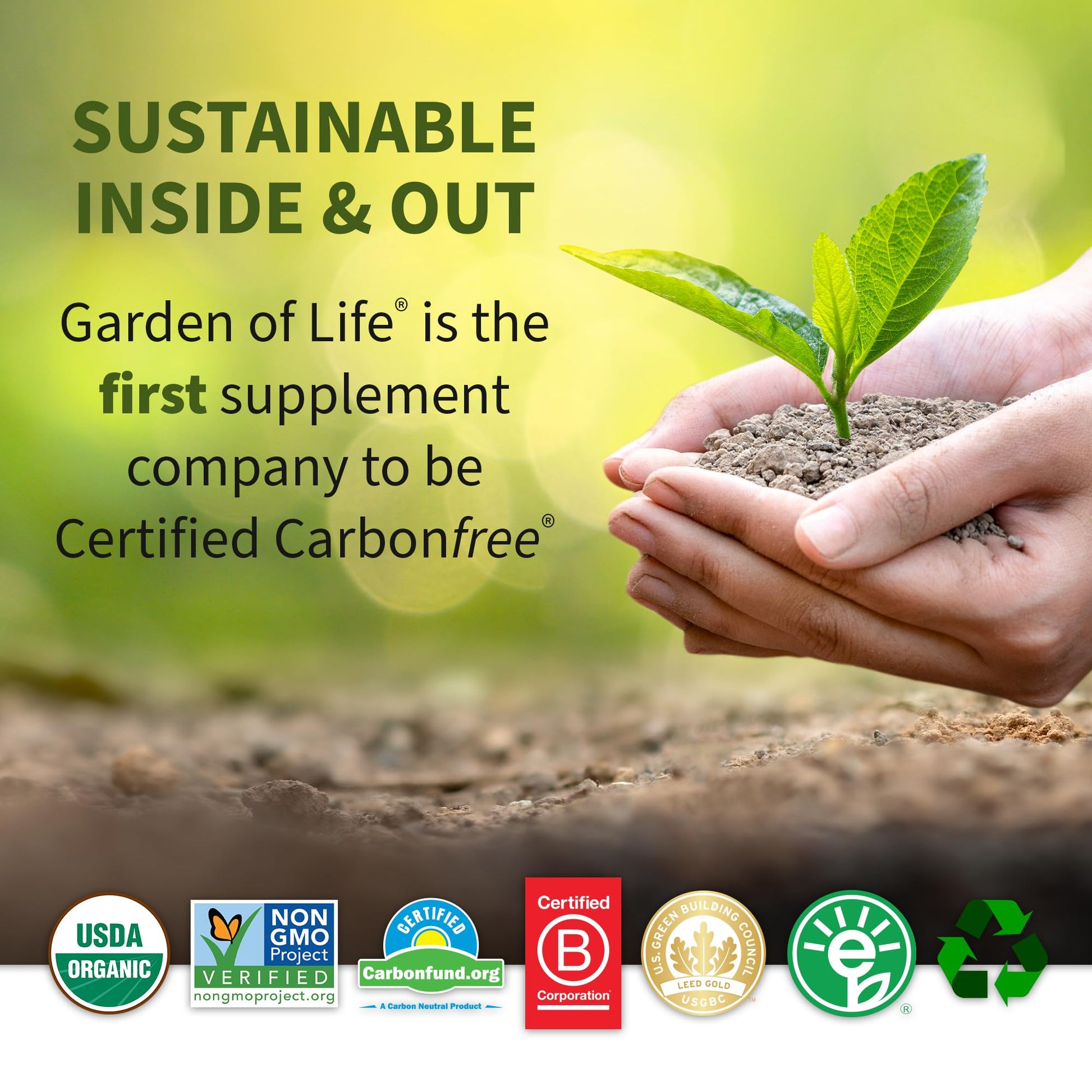 Garden of Life Vegan Protein Powder - Raw Organic Meal Replacement Garden of Life uk supplements