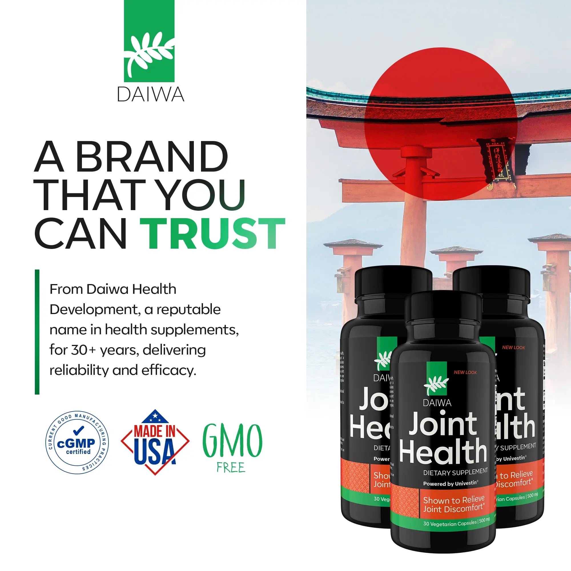 Daiwa Joint Health - Tendon and Ligament Supplements with Chinese Skullcap and Acacia Catechu - Traditional Plant-Based Formula for Active Lifestyles - Non-GMO, 30 Vegetarian Capsules Daiwa Health Development uk supplements