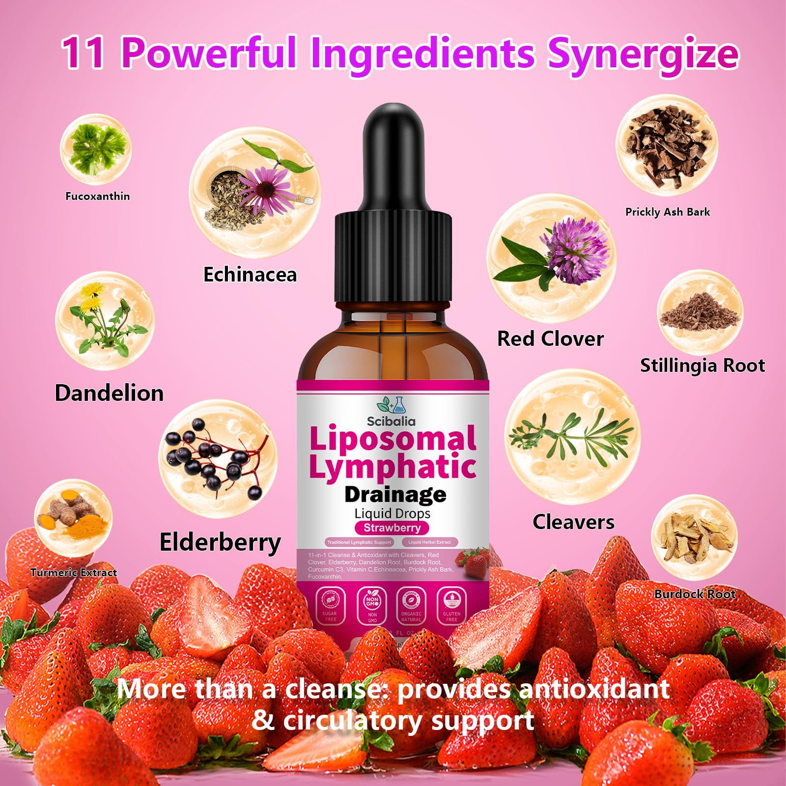 Scibalia Liposomal Lymphatic Drainage Drops, 11-in-1 Organic Lymphatic Support with Red Clover Echinacea Elderberry Burdock Root for Lymph Cleanse Immune Support & Daily Detox Vegan Non-GMO Scibalia uk supplements