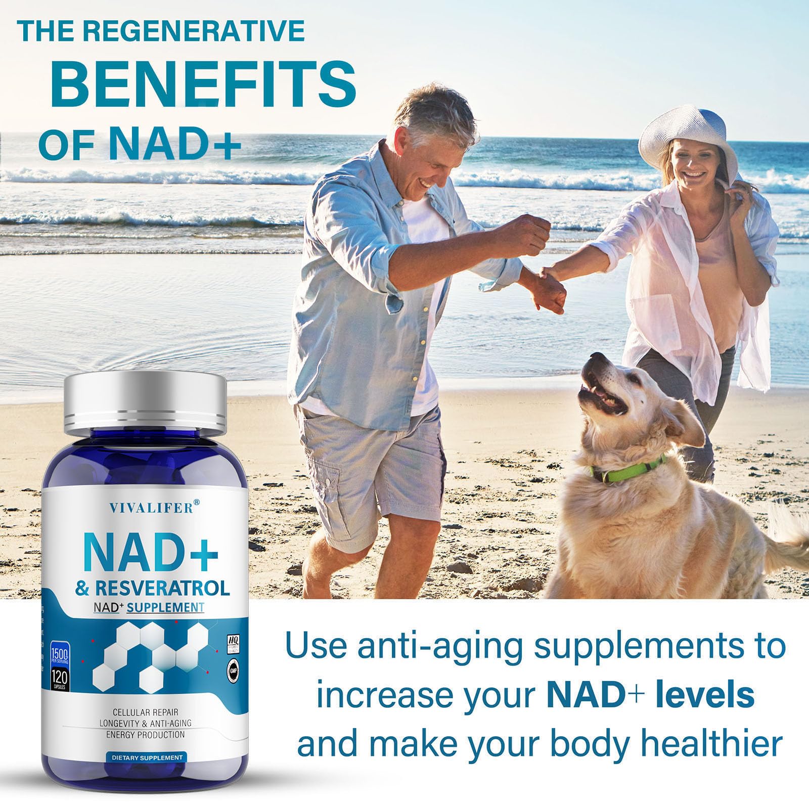 DQQI NMN Supplement Alternative 1500 mg - 120 Capsules (40 Day Supply) High Purity NAD+ & Resveratrol for Anti-Aging, Antioxidant Support, Energy & Focus Boost DQQI uk supplements