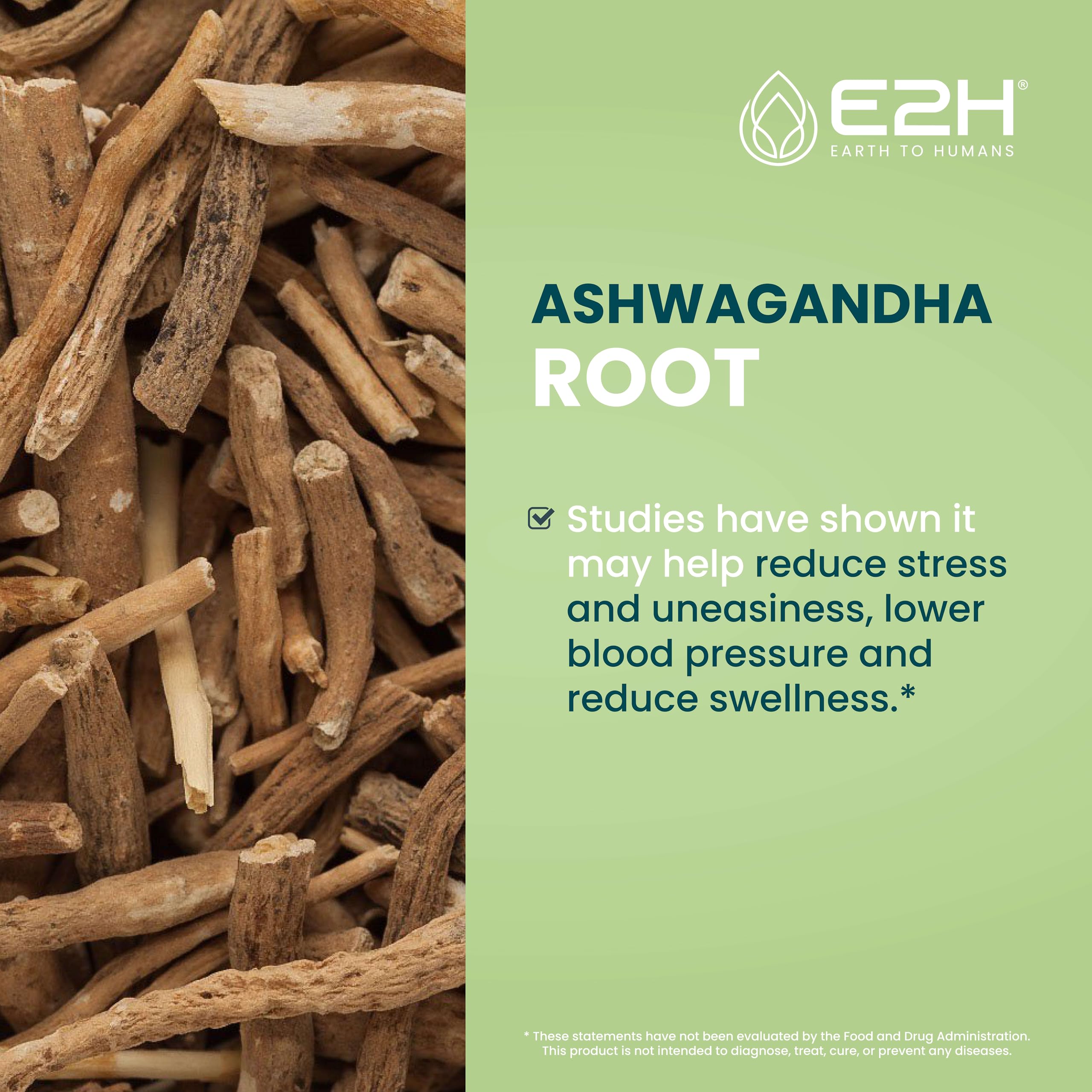 E2H Ashwagandha Liquid Drops - All-Natural Ashwagandha Supplement for Stress Relief and Mood Enhancer- Organic Ashwagandha Root Extract Effective Cortisol Manager | Non-GMO, Vegan | 2 Fl Oz E2H EARTH TO HUMANS uk supplements