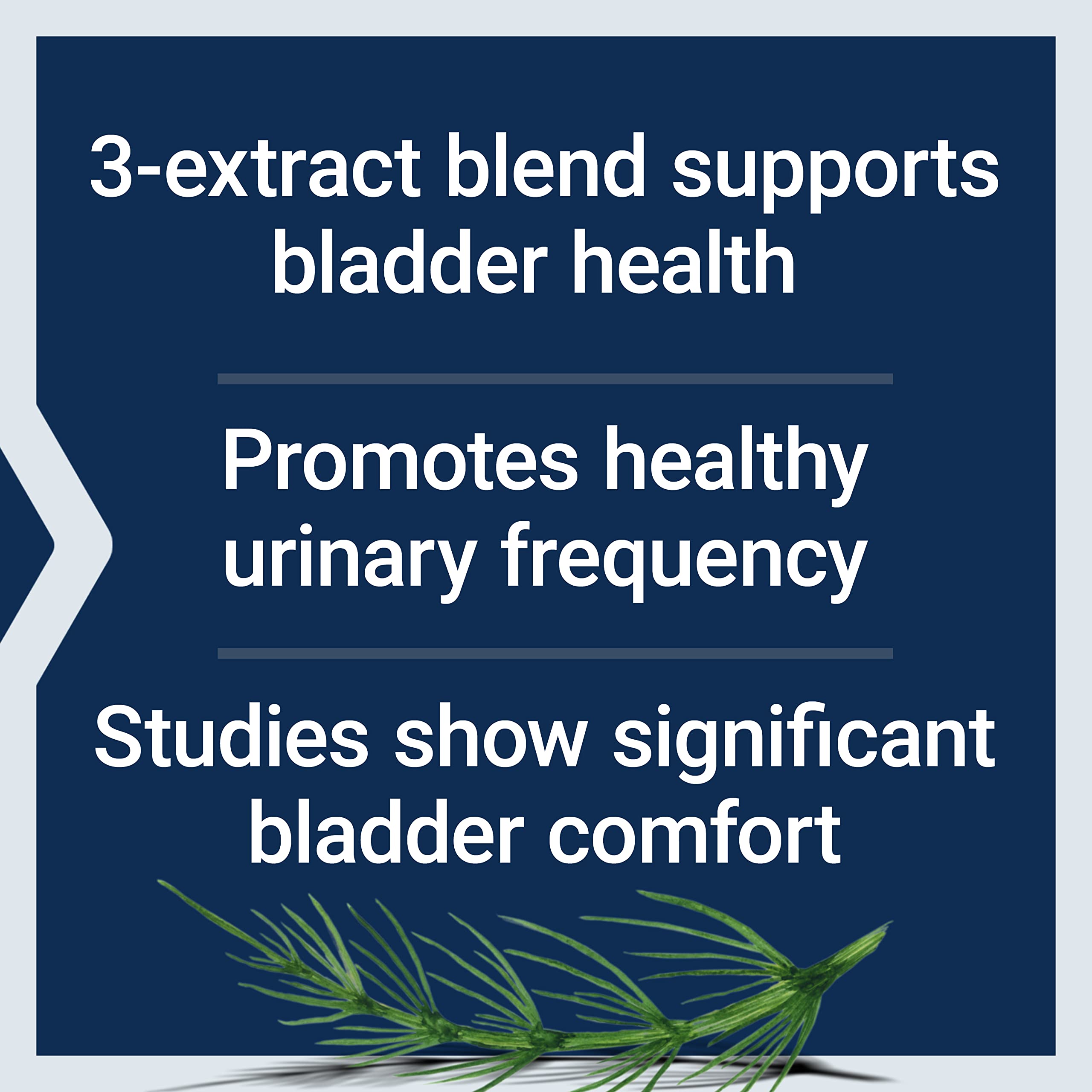 Life Extension Women's Bladder Support – for Bladder Health and Normal Urinary Frequency – Horsetail, Lindera and Three-Leaf Caper Extracts – Non-GMO – Gluten Free — 60 Vegetarian Capsules Life Extension uk supplements
