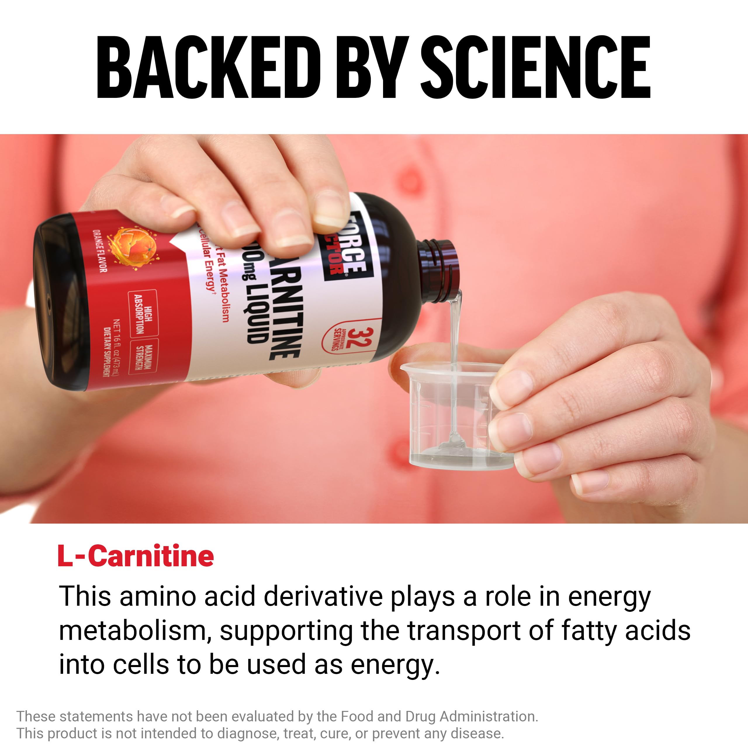 Force Factor L-Carnitine Liquid 3000mg, Maximum Strength Supplement to Support Fat Metabolism, Cellular Energy & Muscle Recovery, High Absorbing Force Factor uk supplements