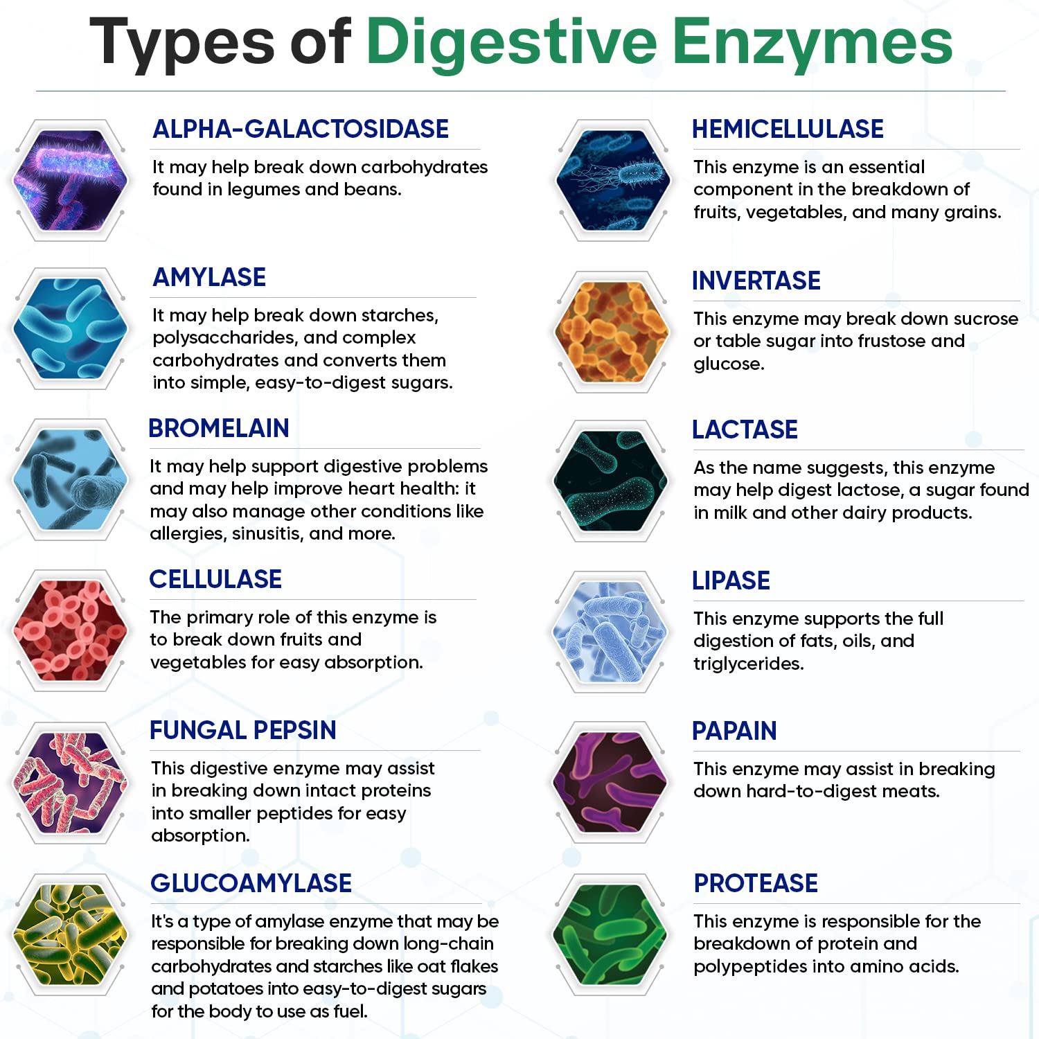 Wholesome Wellness Digestive Enzymes 1000MG Plus Prebiotics & Probioti Wholesome Wellness uk supplements