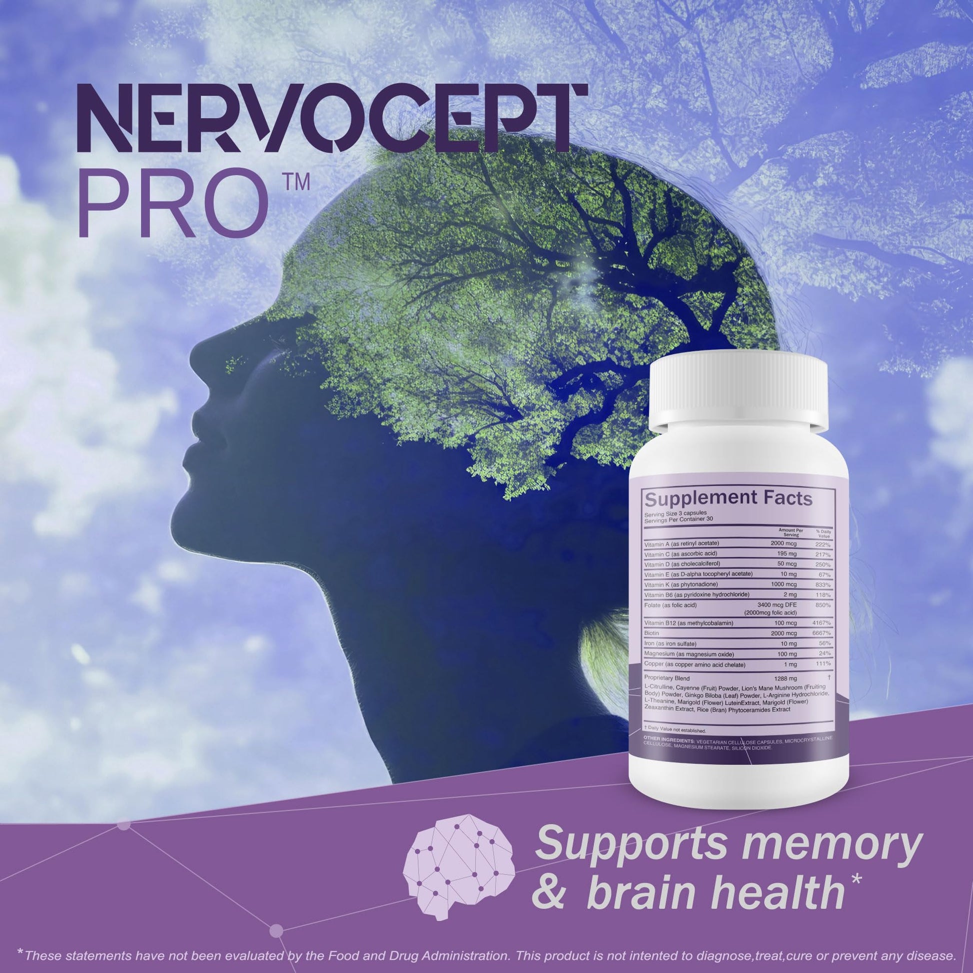 Nervocept Pro - Our Best Nerve Support Capsules - Lions Mane, Magnesium, Vitamin B For Nerve Repair - Vitamin D for Nerves - Lions Mane Memory & Nerve Support - Vitamin B12 Nerve Support True You Health uk supplements
