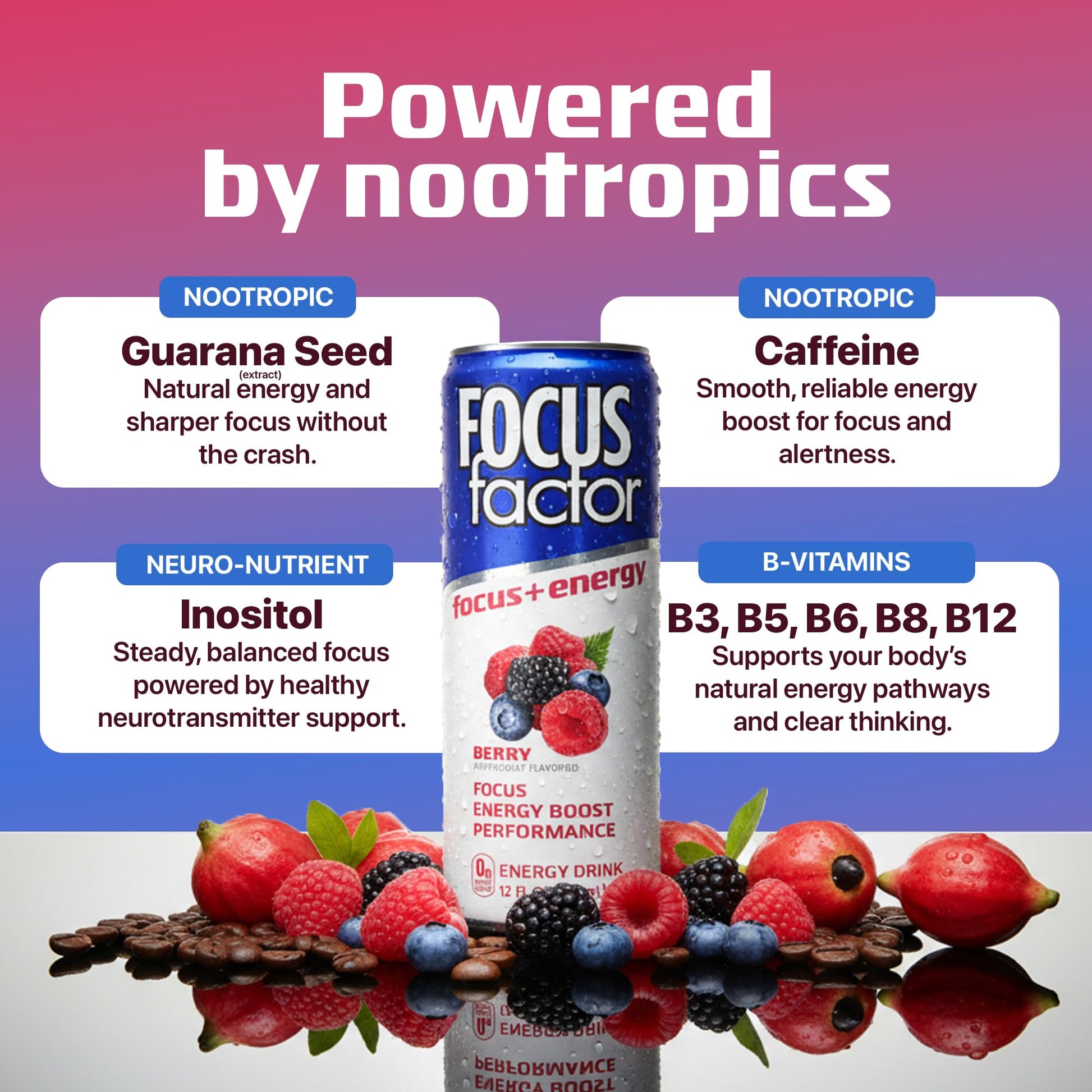 Focus Factor Energy Drink - 12 x 355ml Cans (Berry Flavour) - with Focus + Energy - Lightly Carbonated, Sugar Free, Low Calorie with Vitamin B6 & Vitamin B12 Focus Factor uk supplements