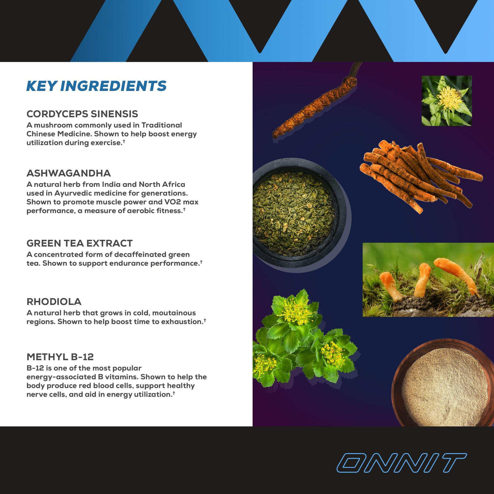 Onnit Shroom TECH Sport (84ct) | All Natural Pre-Workout Supplement with Ashwagandha ONNIT uk supplements