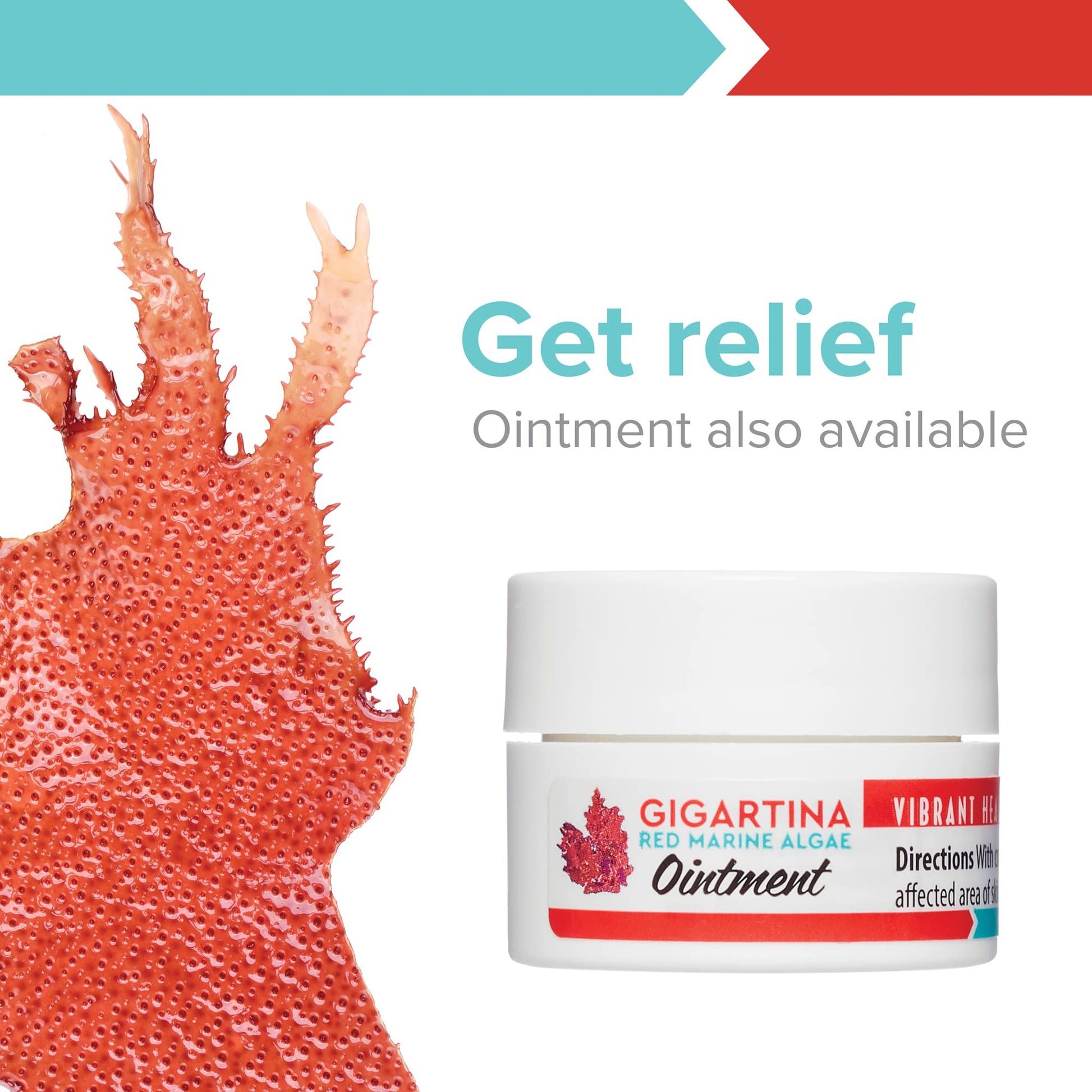 Vibrant Health, Gigartina Red Marine Algae, Plant-Based Immune Support, 60 Capsules Vibrant Health uk supplements