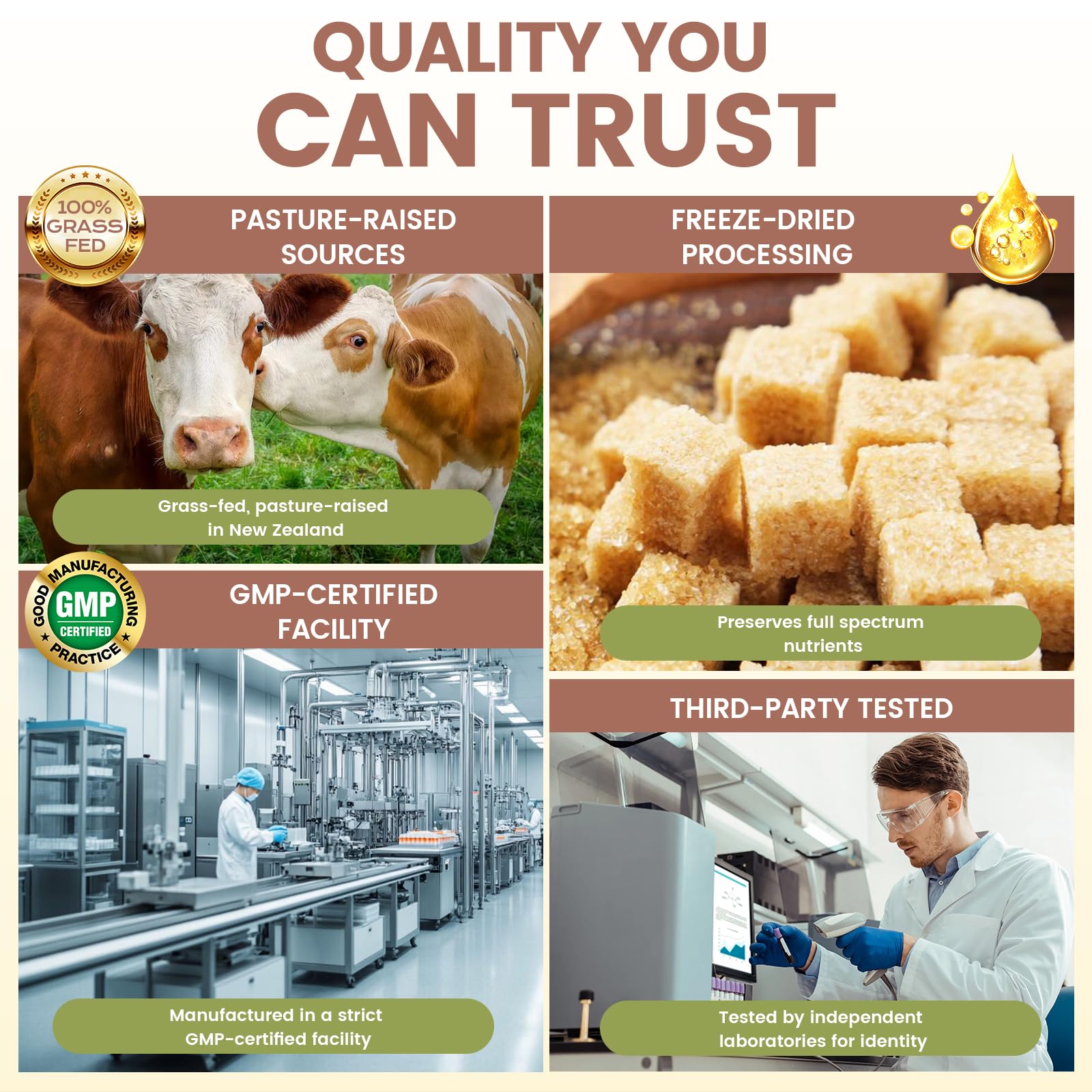 Grass Fed Beef Organ Supplement for Men - Beef Liver Capsules,Pasture Raised Beef Organs with Heart, Liver, Kidney, Spleen, Testicle & Prostate, Zinc, Selenium, Vitamin D3, Ginseng, Cordyceps HOLINFRE uk supplements