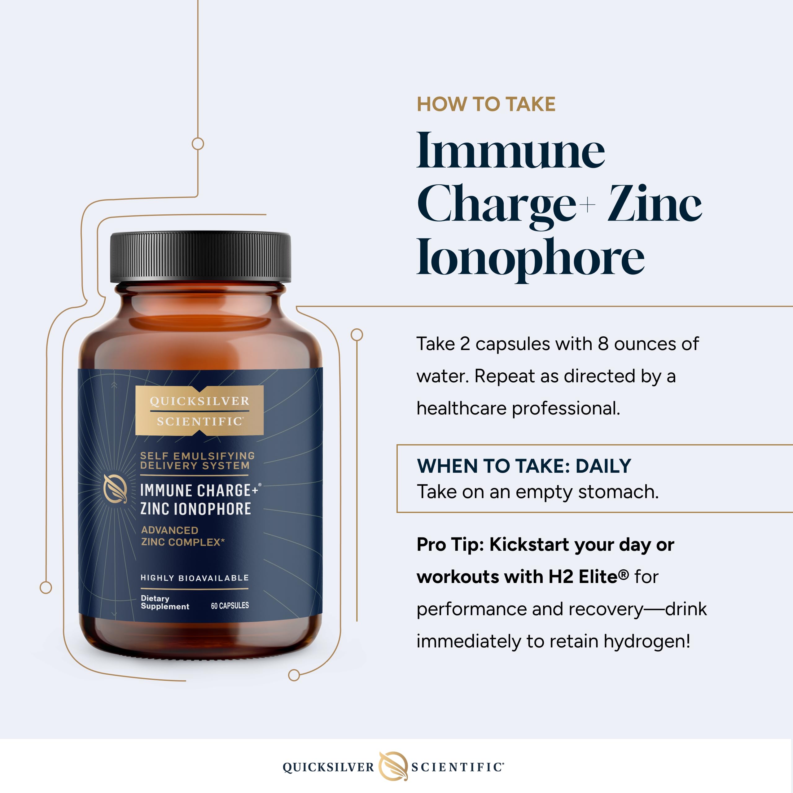 Quicksilver Scientific Immune Charge+ Zinc Ionophore - Zinc Supplement Complexed with Quercetin, Luteolin, Hesperetin Immune + GI Support (60 Capsules) Quicksilver Scientific uk supplements