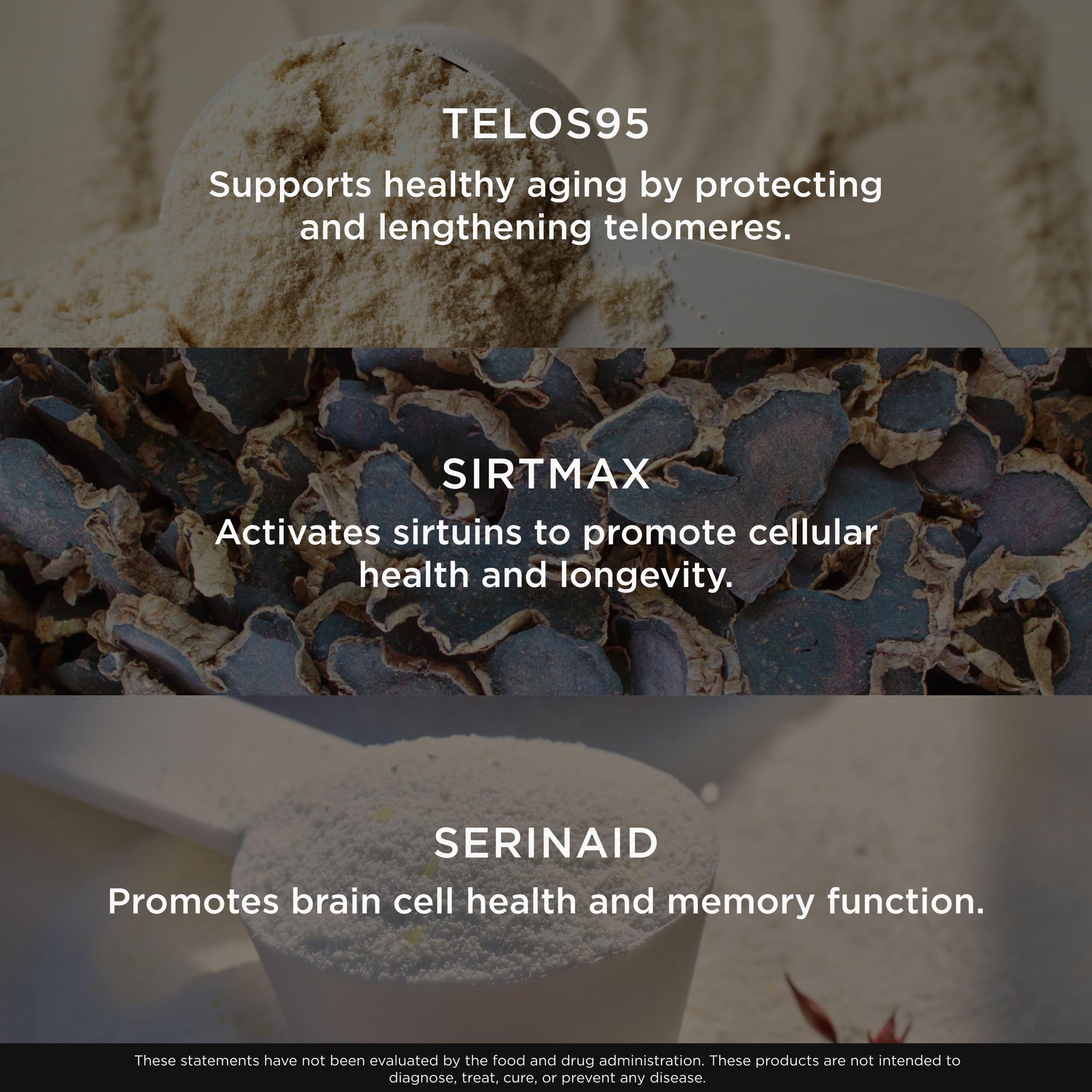 The Genius Brand Genius Eternal - Cellular Repair Supplement for Daily Clarity - Supports Brain Health, Endurance, Energy, Focus, Memory & Vitality - Non-GMO - 60 Veggie Capsules The Genius Brand uk supplements