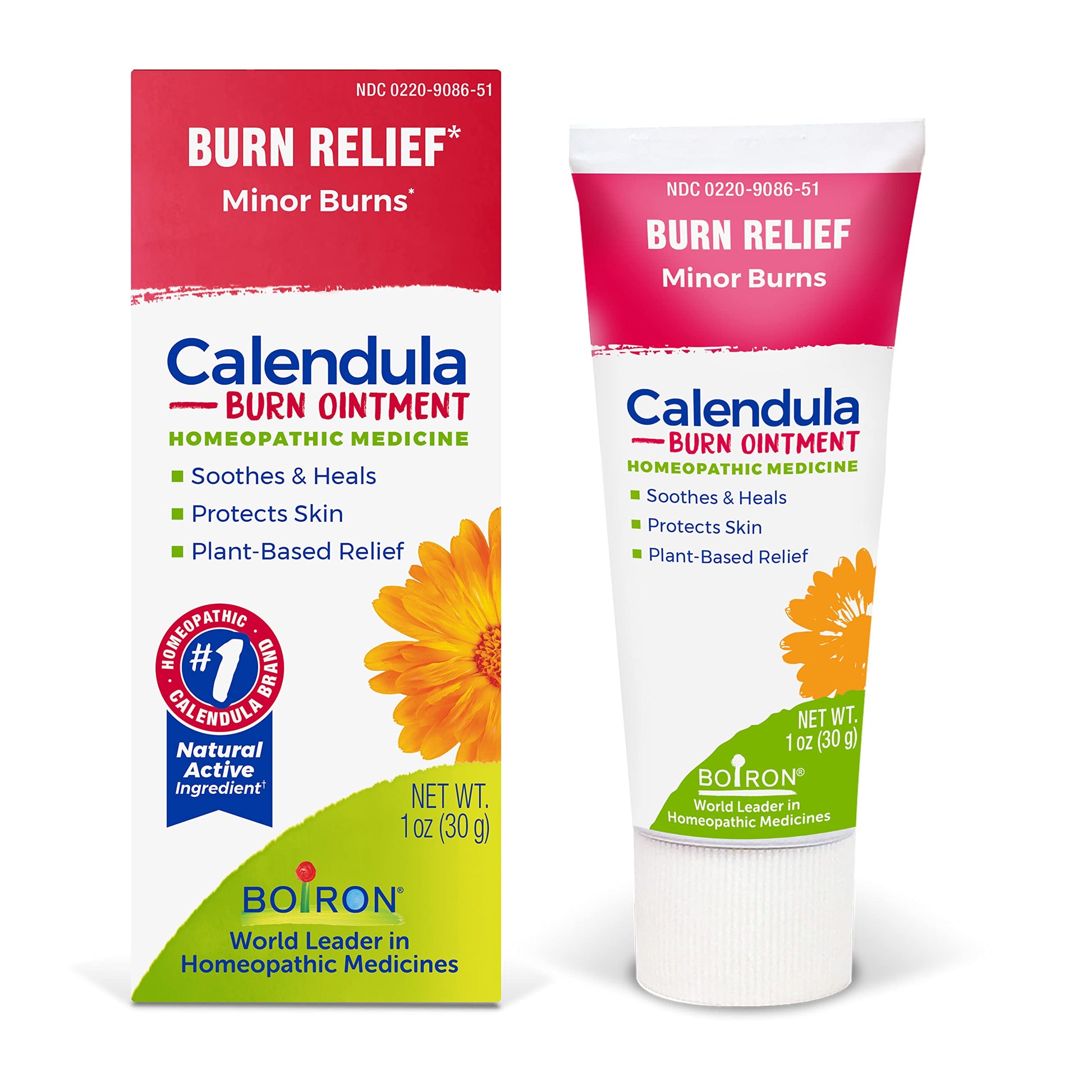 Boiron Calendula Burn Ointment for Relief from Minor Burns from Cooking, Friction, or Sunburns - 1 oz Boiron uk supplements