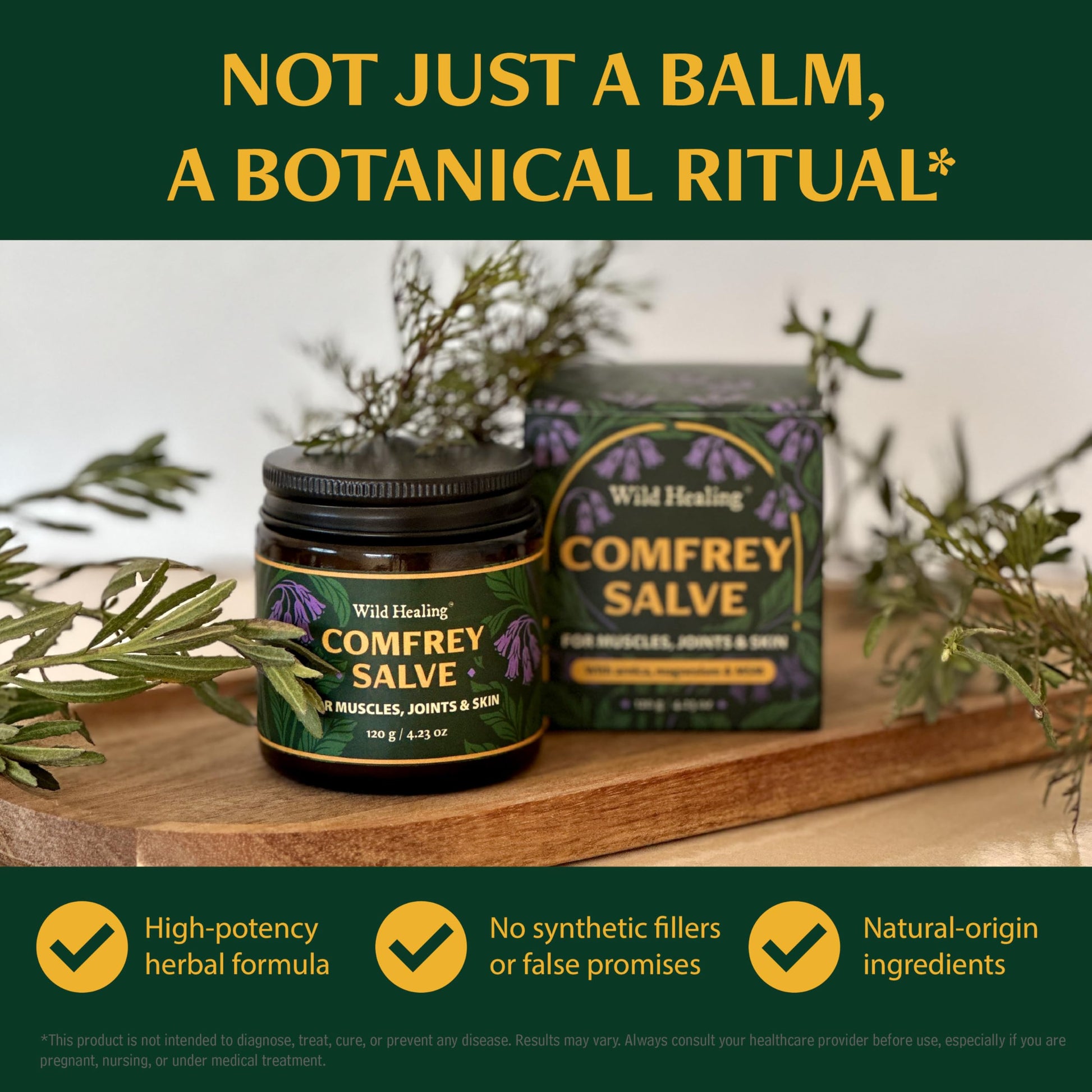 Wild Healing Comfrey Salve – Concentrated Herbal Balm with Arnica, Magnesium & MSM – Soothing Botanical Cream for Joints, Muscles & Dry Skin – 4.23 oz Wild Healing uk supplements