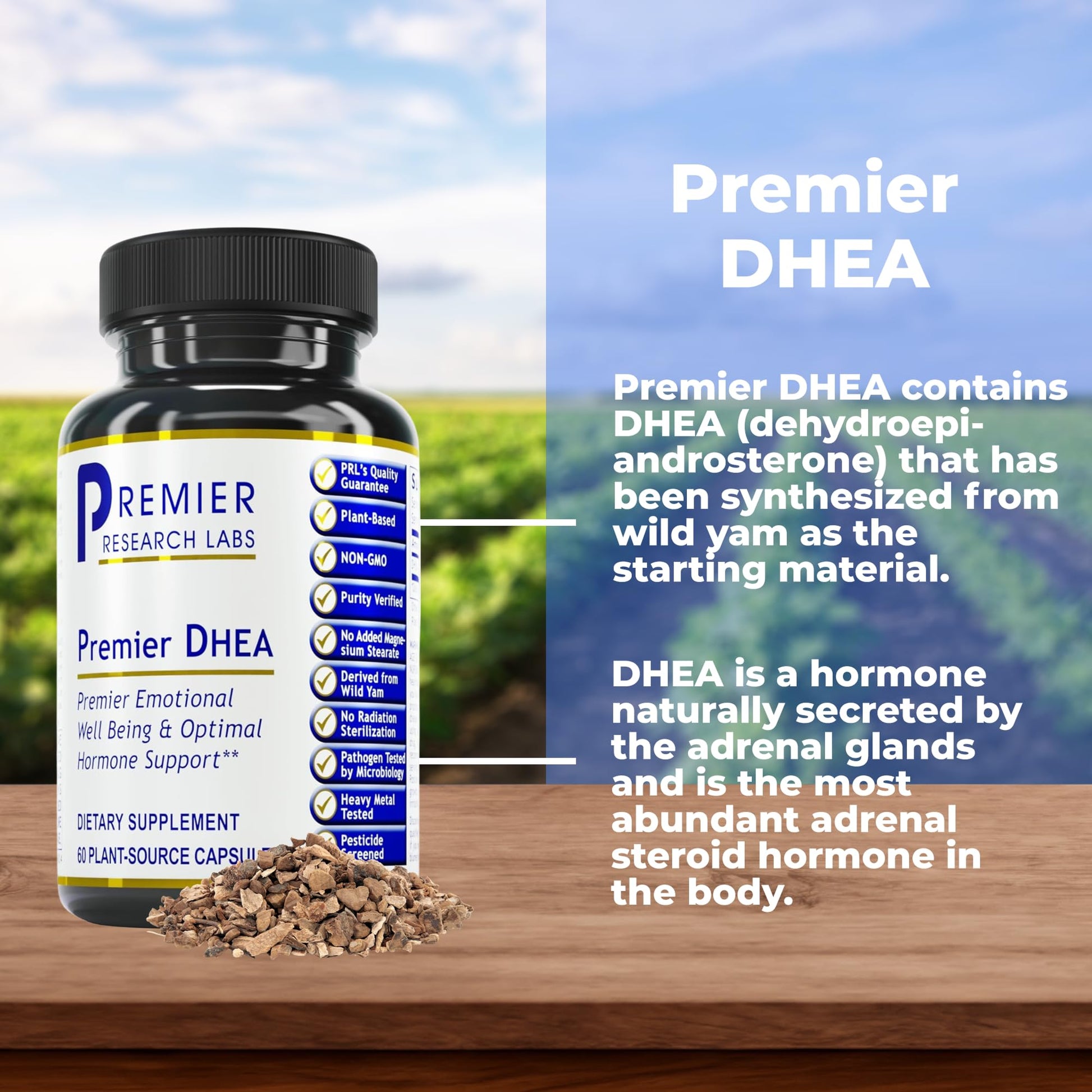 Premier Research Labs Premier DHEA - DHEA Supplement for Women & Men, Pure DHEA 25mg, Hormone Support for Healthy Aging, Wild Yam DHEA, Vegan Friendly - 60 Vegetarian Capsules Premier Research Labs uk supplements