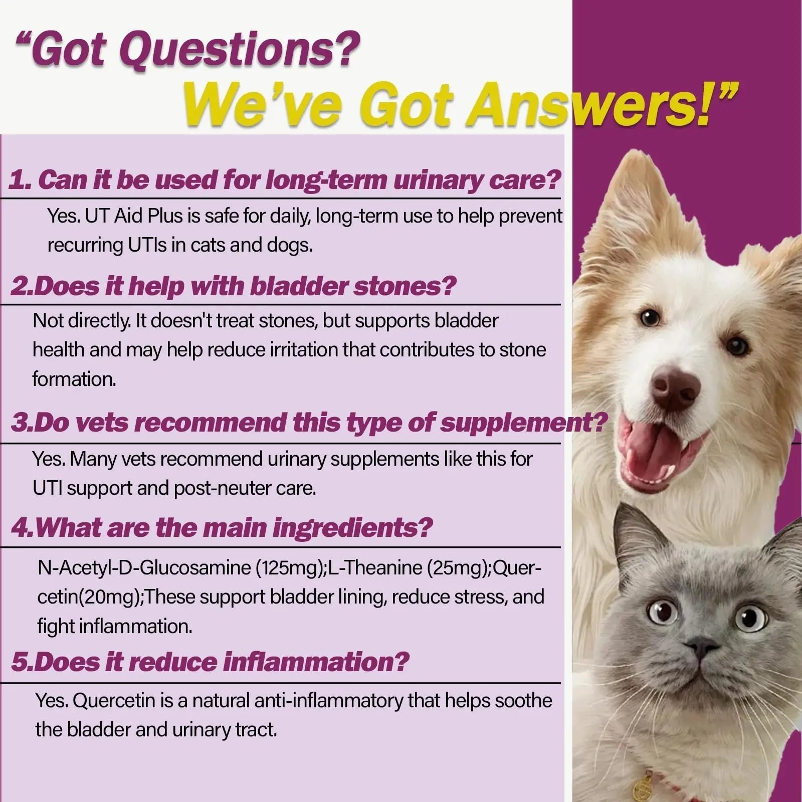 NUTRIARISE Natural UTI Treatment for Cats & Dogs – Antibiotic-Free Urinary Tract Infection Support Supplement – Bladder & Kidney Health – Incontinence Prevention – 30 Capsules NUTRIARISE uk supplements