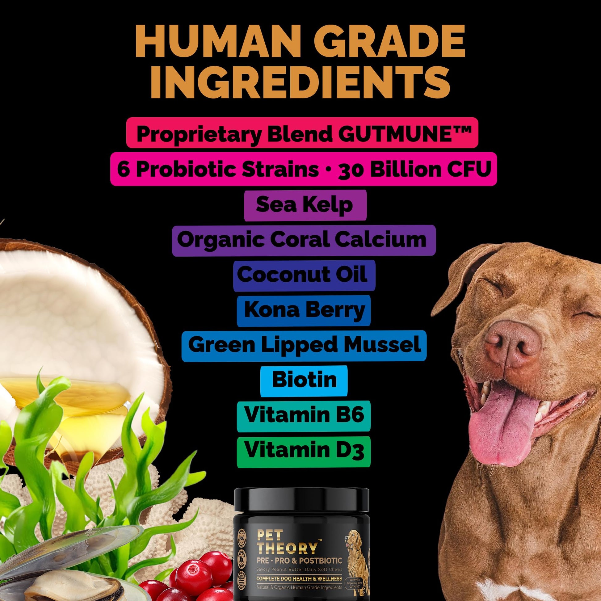 Pet Theory Probiotics for Dogs. Dog Digestive Health-Pre Pro and Postbiotic Combination-Pet Supplements for Gut Health-Supports Digestion, Boost Immunity-100CT Soft Chews Pet Theory uk supplements